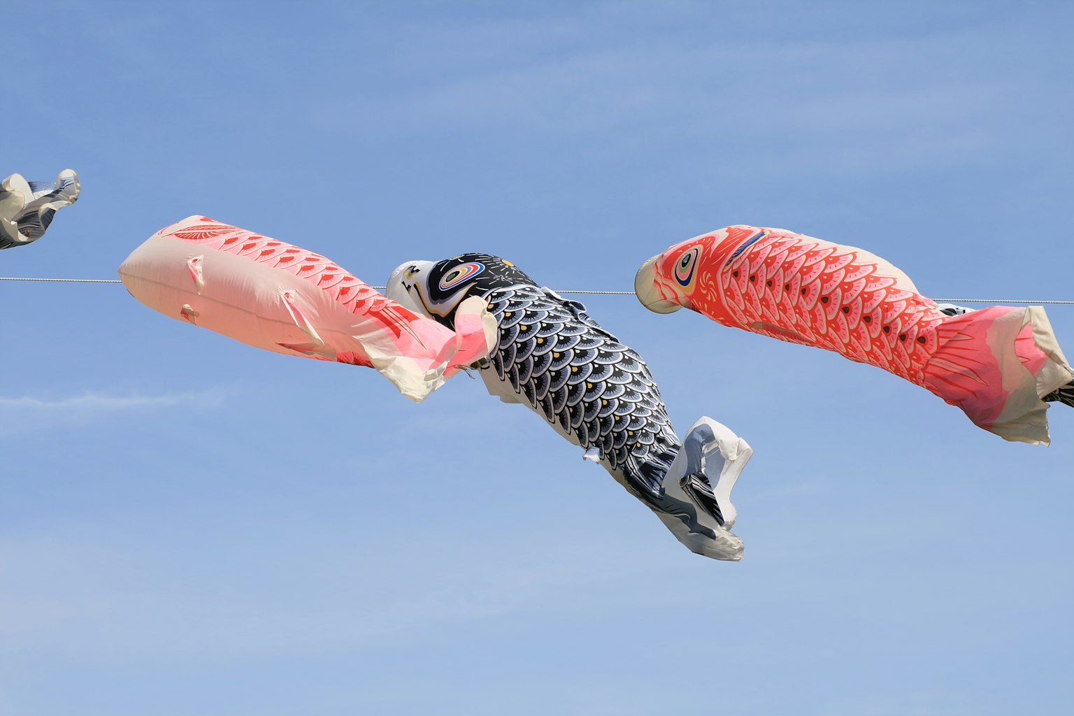 Bandiere koinobori che nuotano nel cielo blu