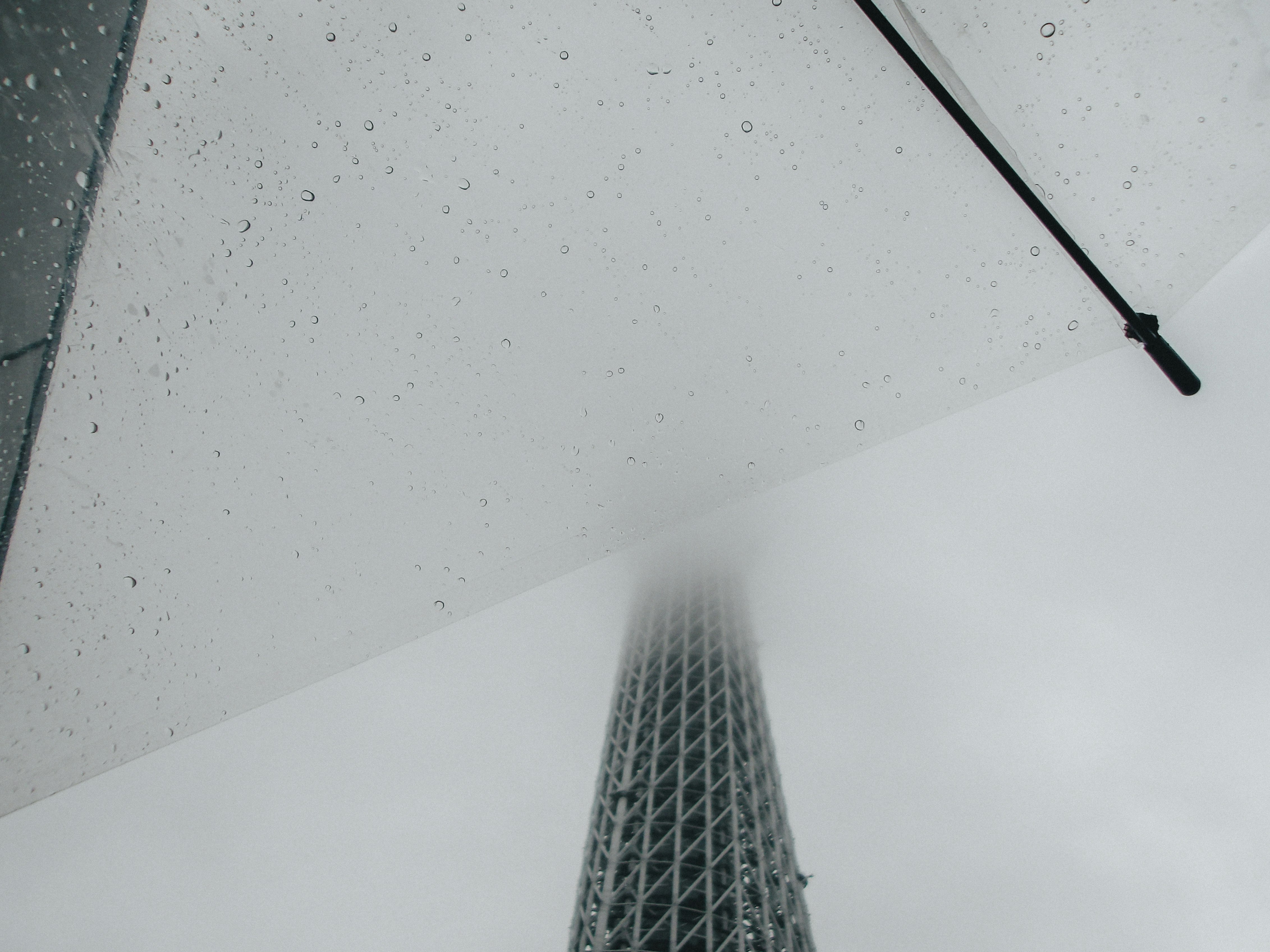 雨の中のスカイツリーを見上げる白い傘のある風景
