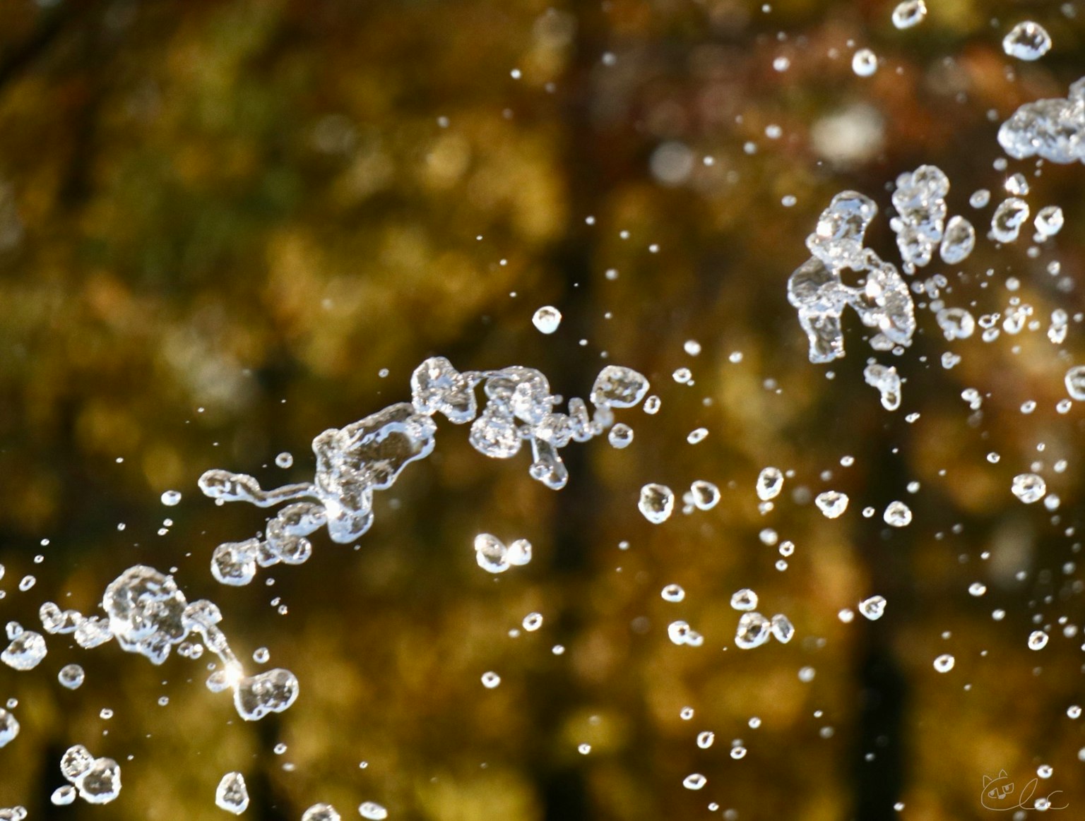Image capturant des gouttes d'eau éclaboussant dans l'air