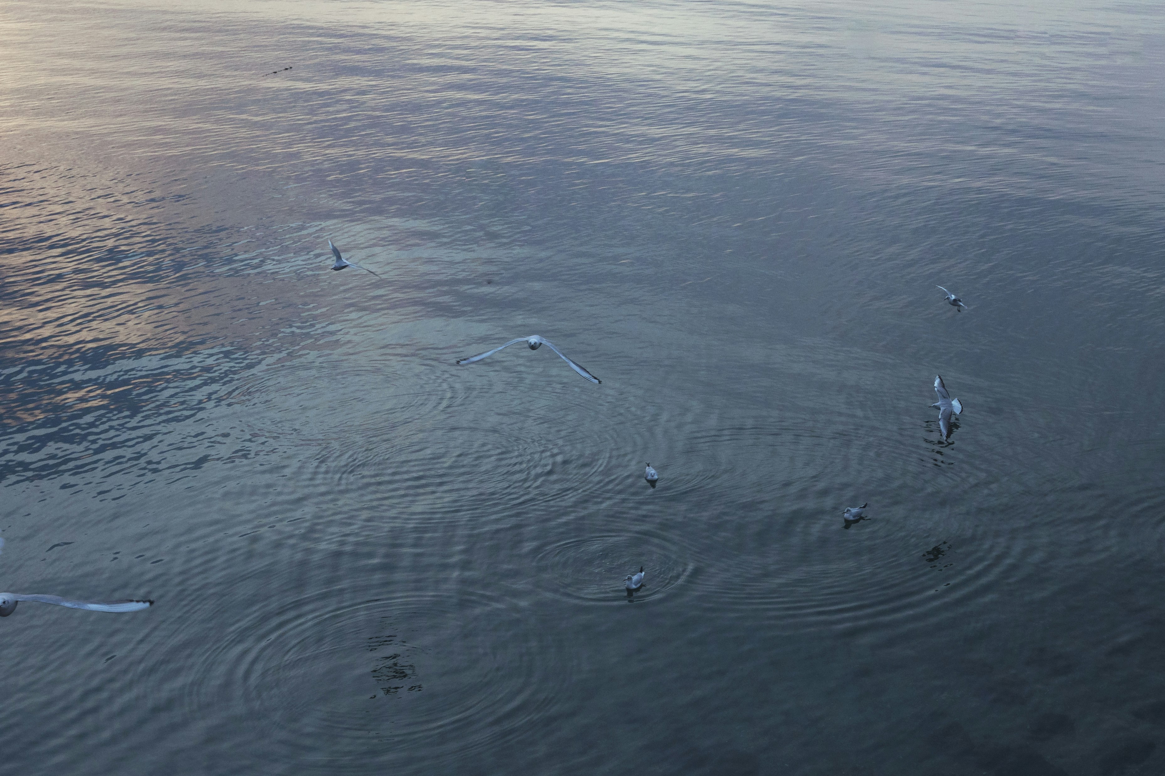 water surface scene with small boats and ripples