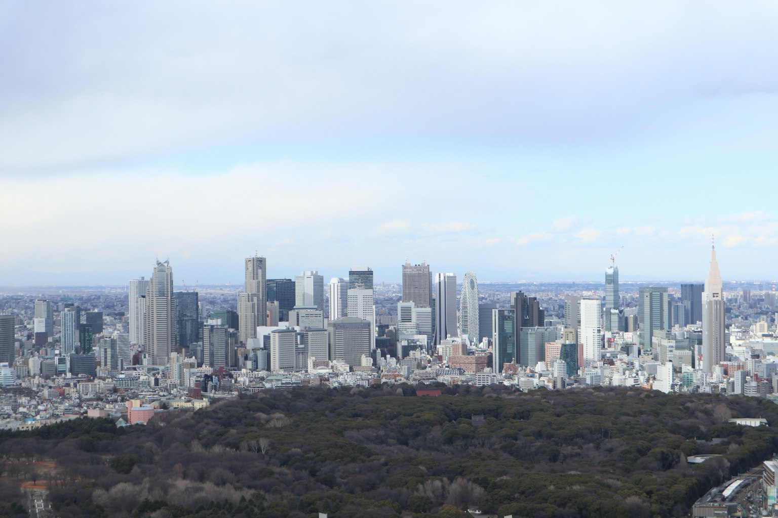 Vista panorámica del horizonte de Tokio con parque verde y rascacielos