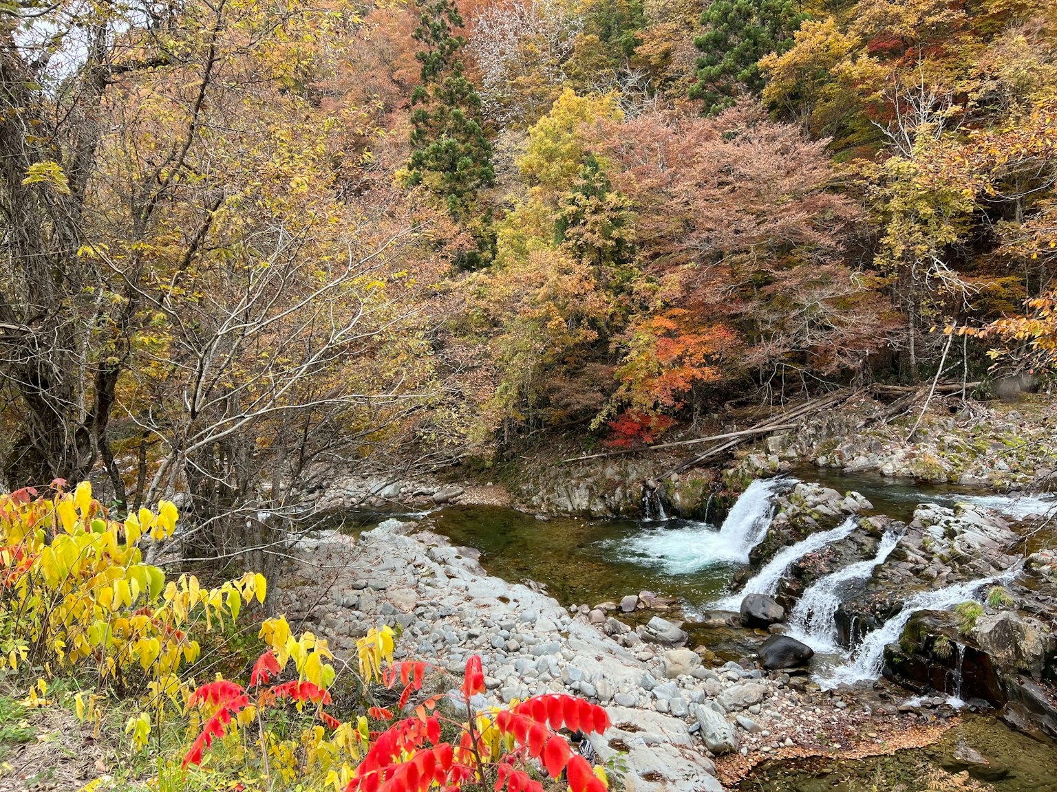 秋天的风景，五彩斑斓的树叶和流动的小溪，带有小瀑布