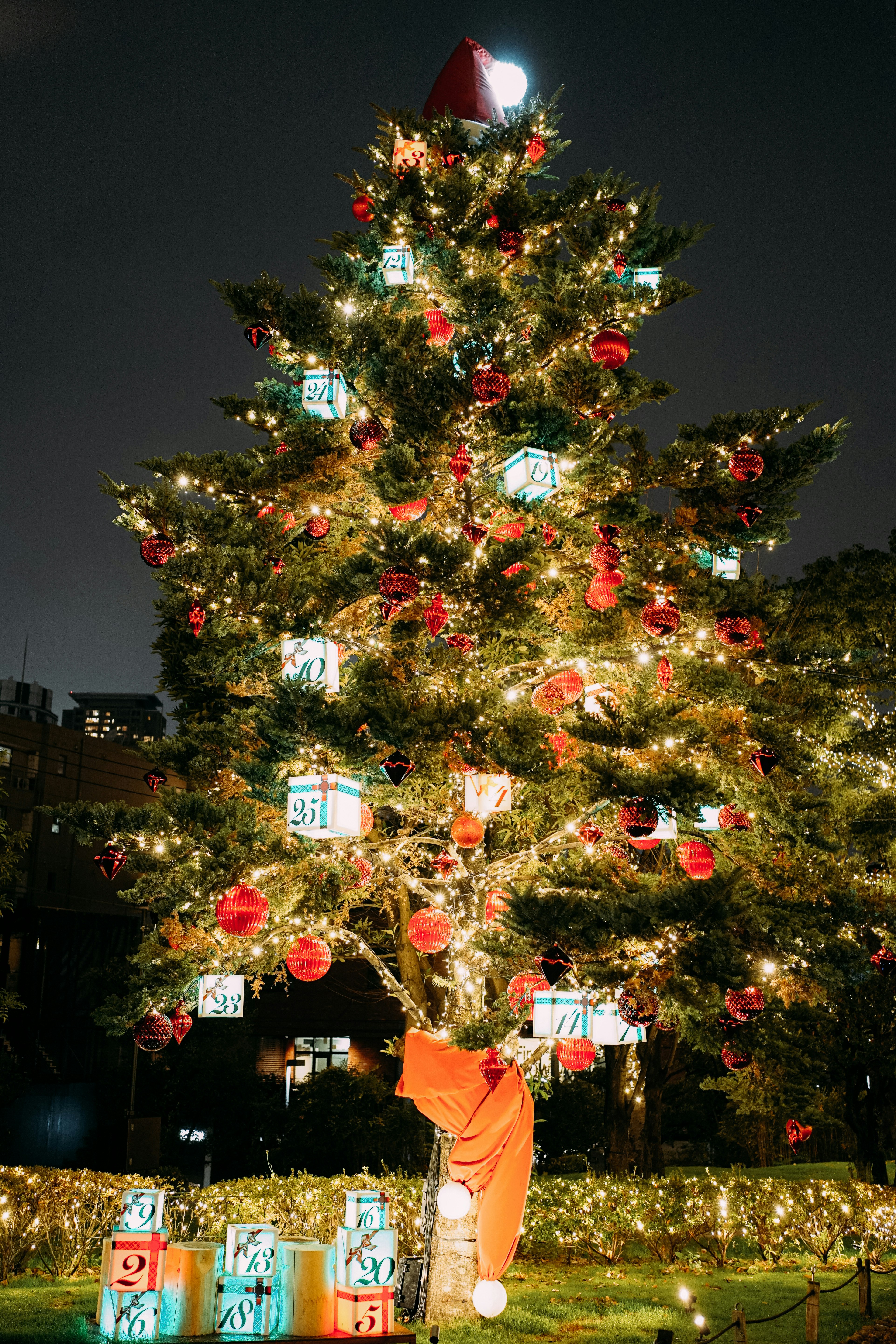 Weihnachtsbaum mit Lichterketten im nächtlichen Garten