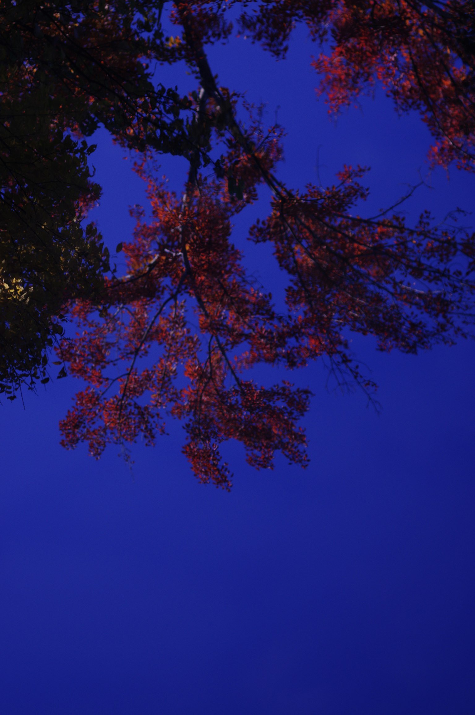 暗い背景にシンプルなデザインのグレーの四角形