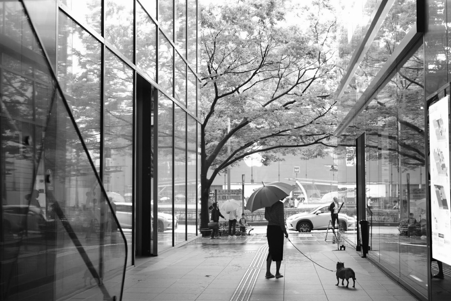 Schwarzweißfoto einer Person mit einem Regenschirm vor einem Glasgebäude mit einem Hund