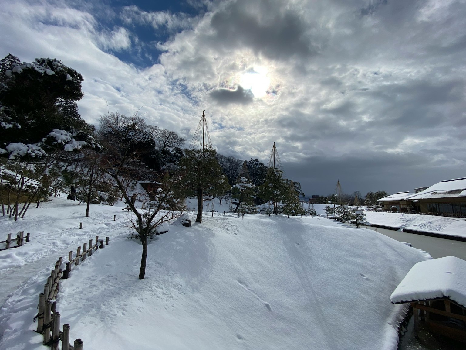 一个被雪覆盖的风景，展示了宁静的花园和多云的天空