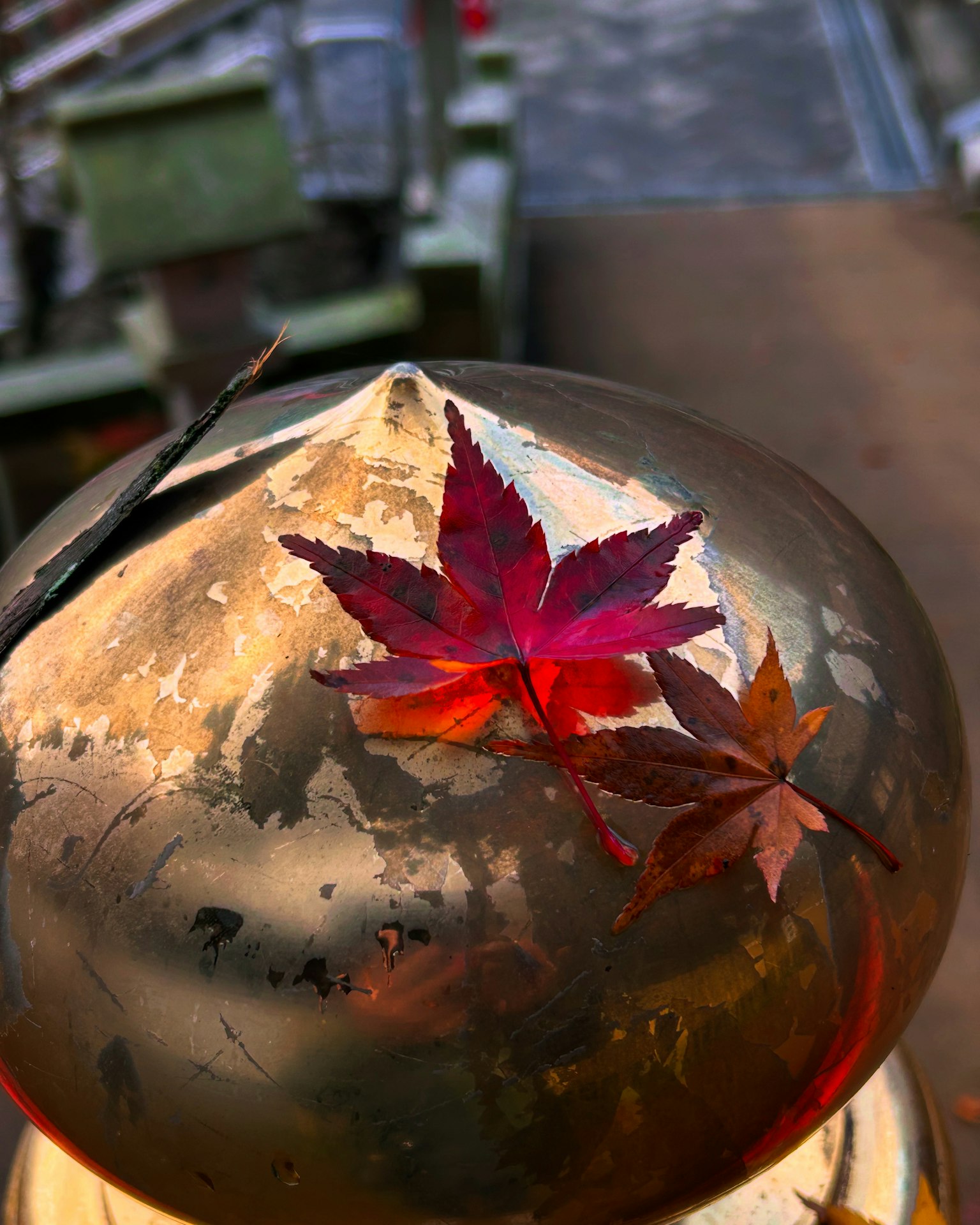 Beautiful autumn leaves placed on a golden decorative object