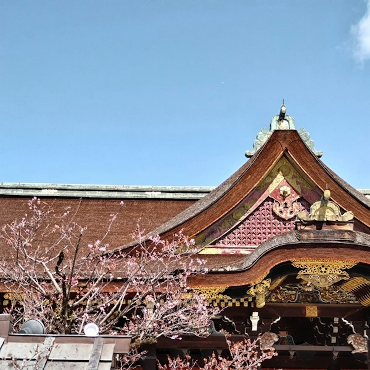 Traditionelle japanische Architektur mit Kirschbaum