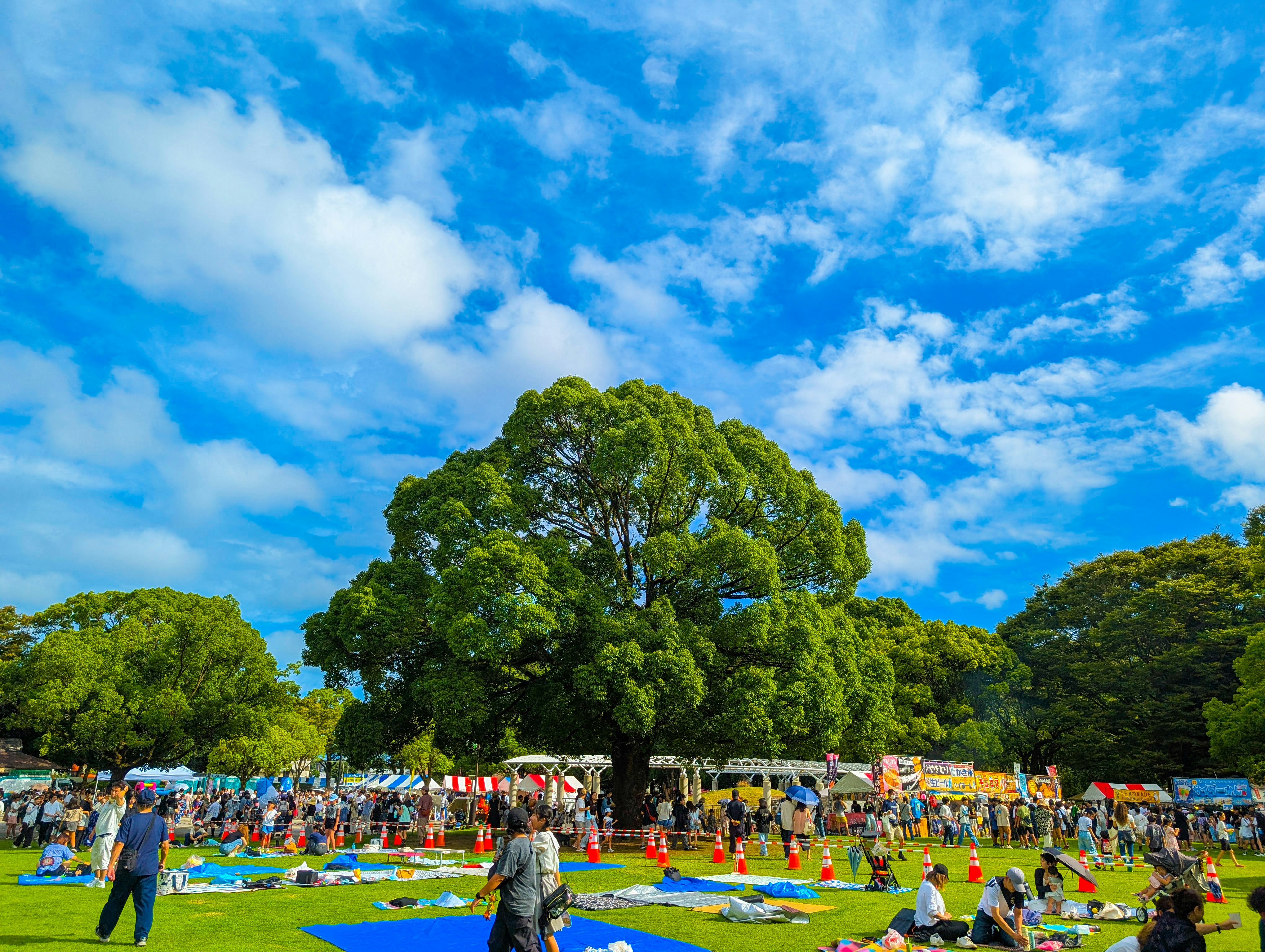 青空の下で広場に集う人々と大きな木のある祭りの風景