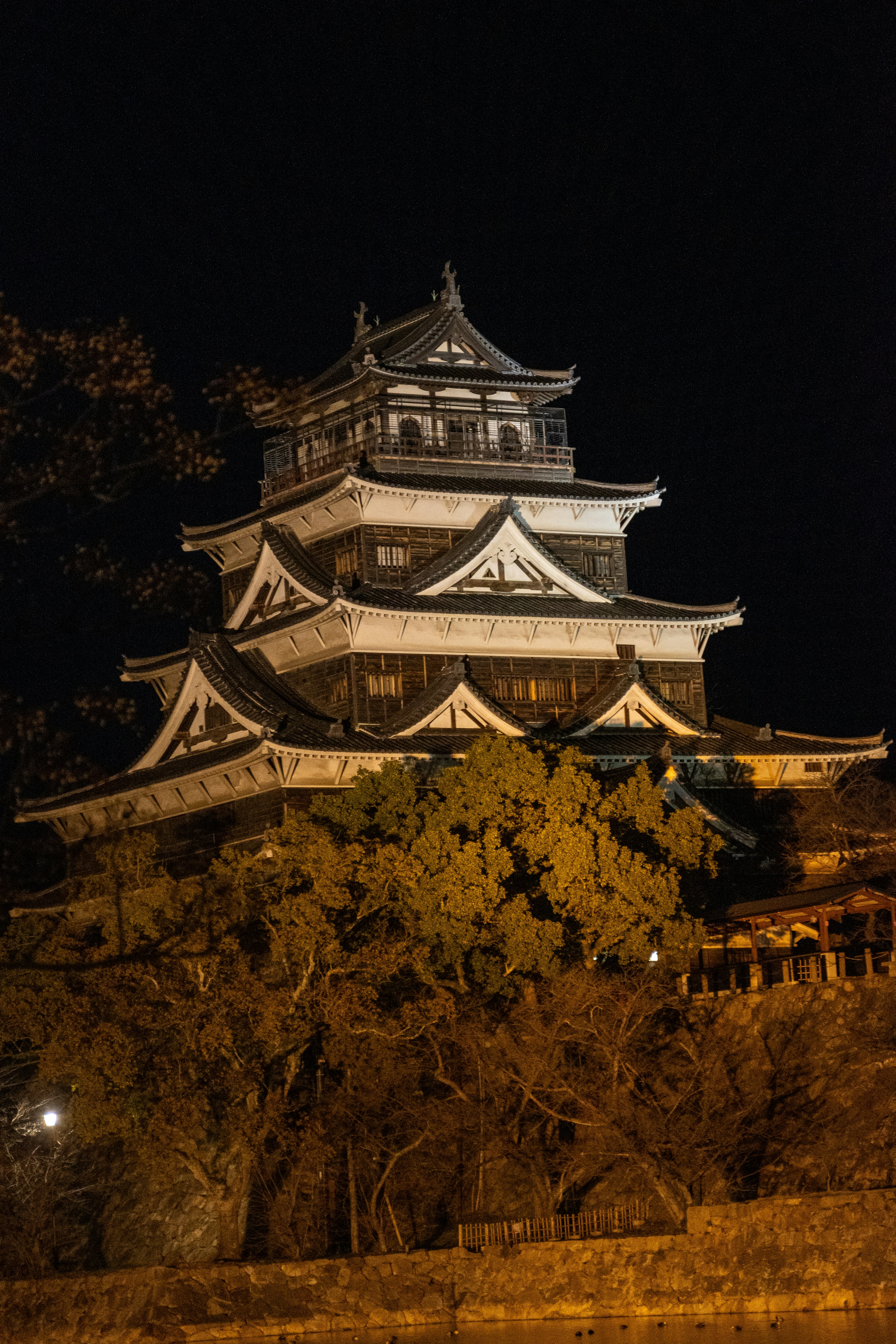 夜の城郭と紅葉の並木が照らされる城下の風景