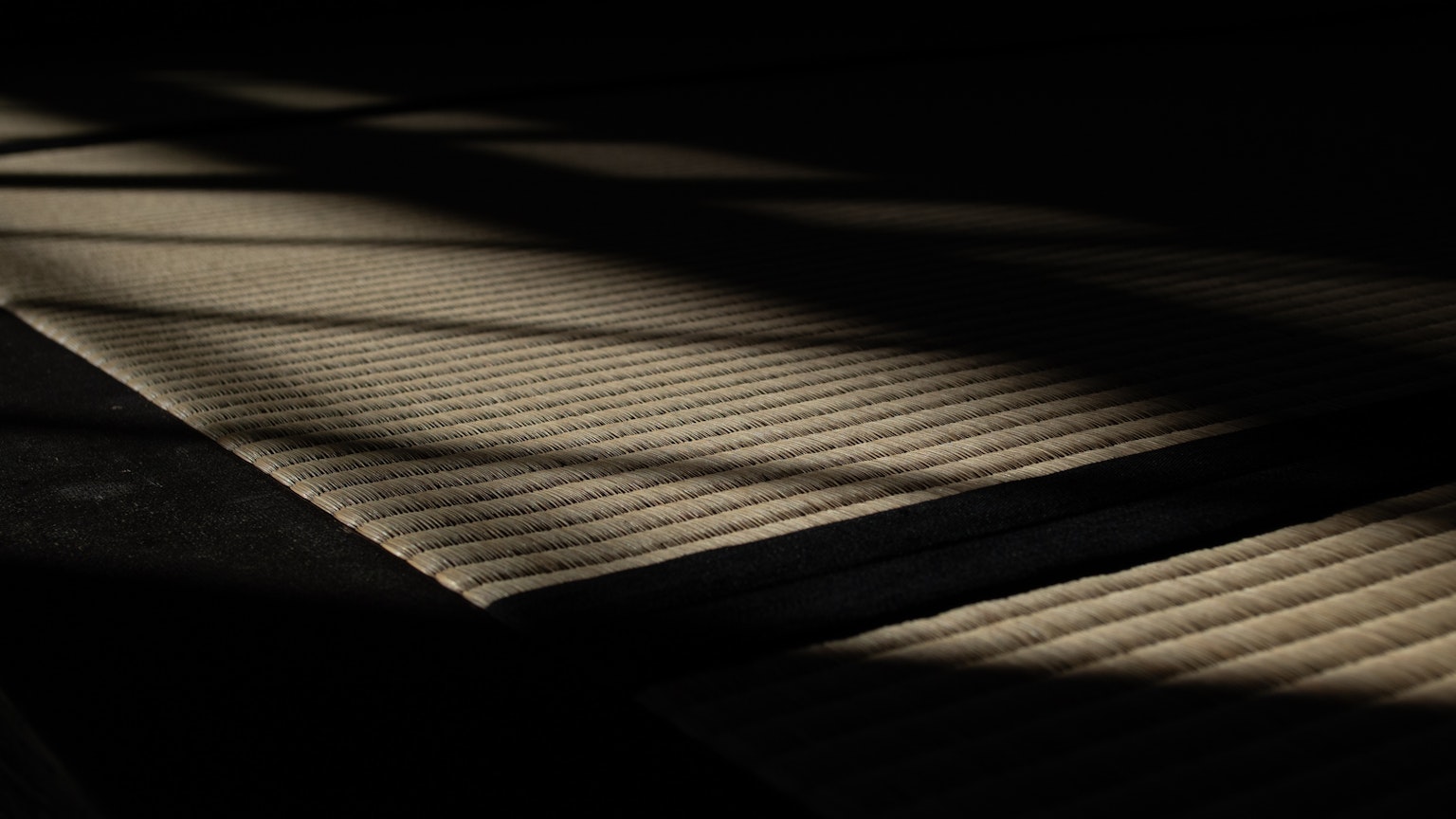 photo-9S2xVxOyVbcthPBQ9JmA-image