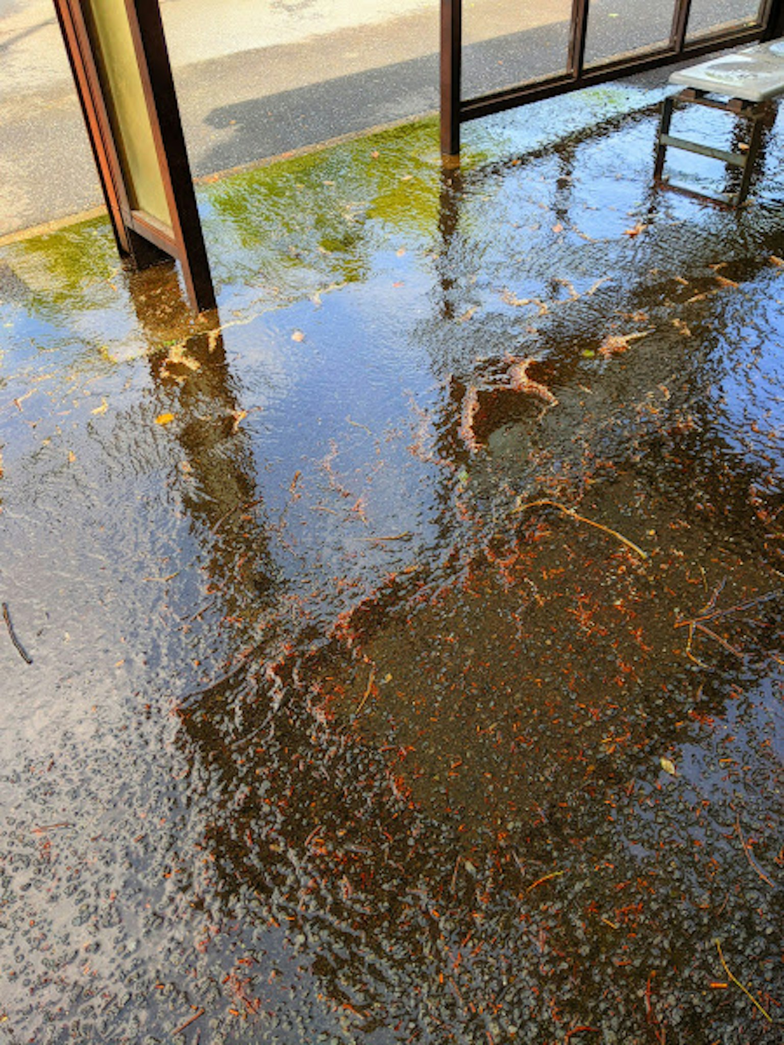 Photo of a bus stop floor with puddles leaves floating in the water