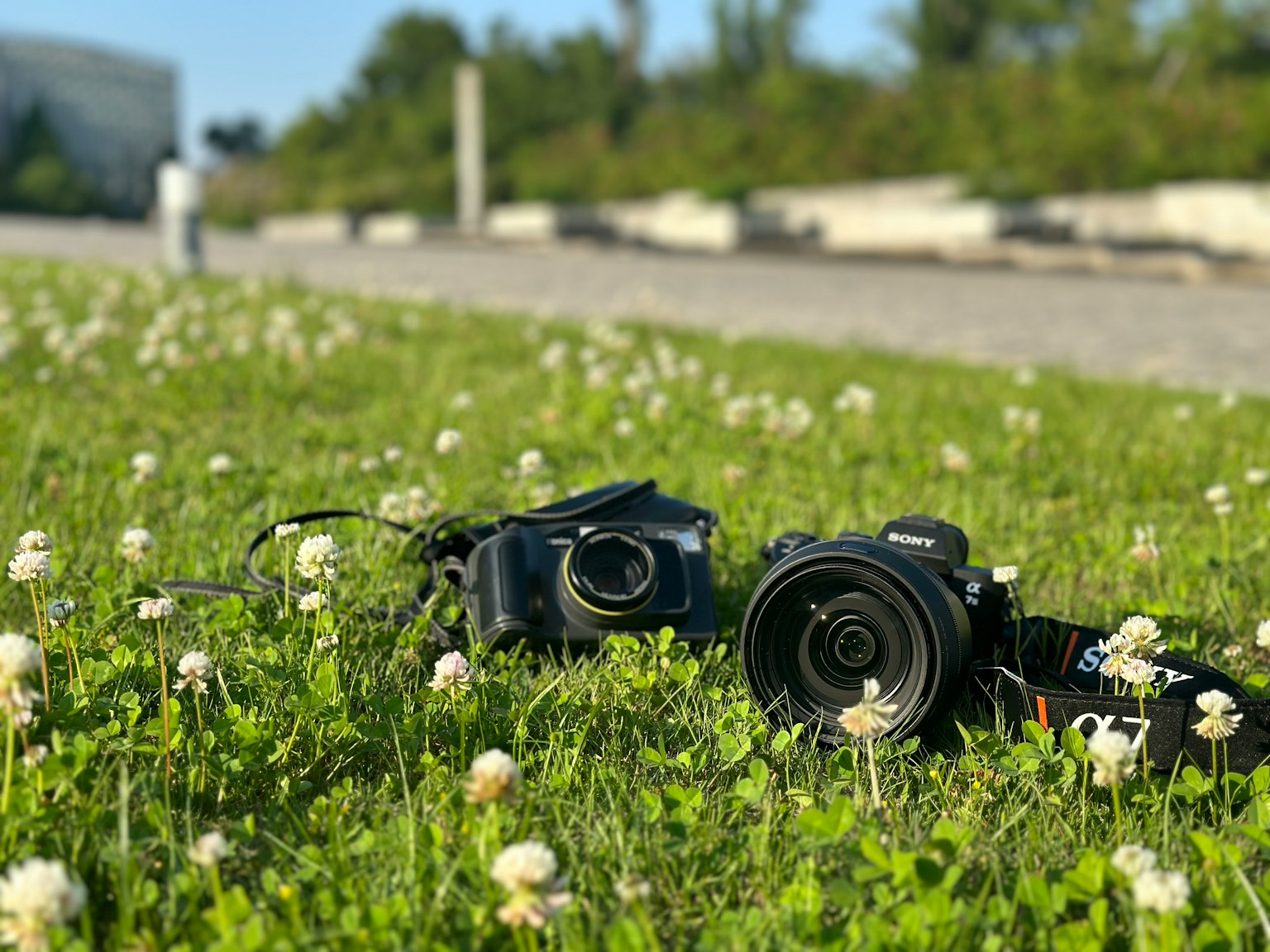 Dos cámaras colocadas sobre hierba verde con flores blancas
