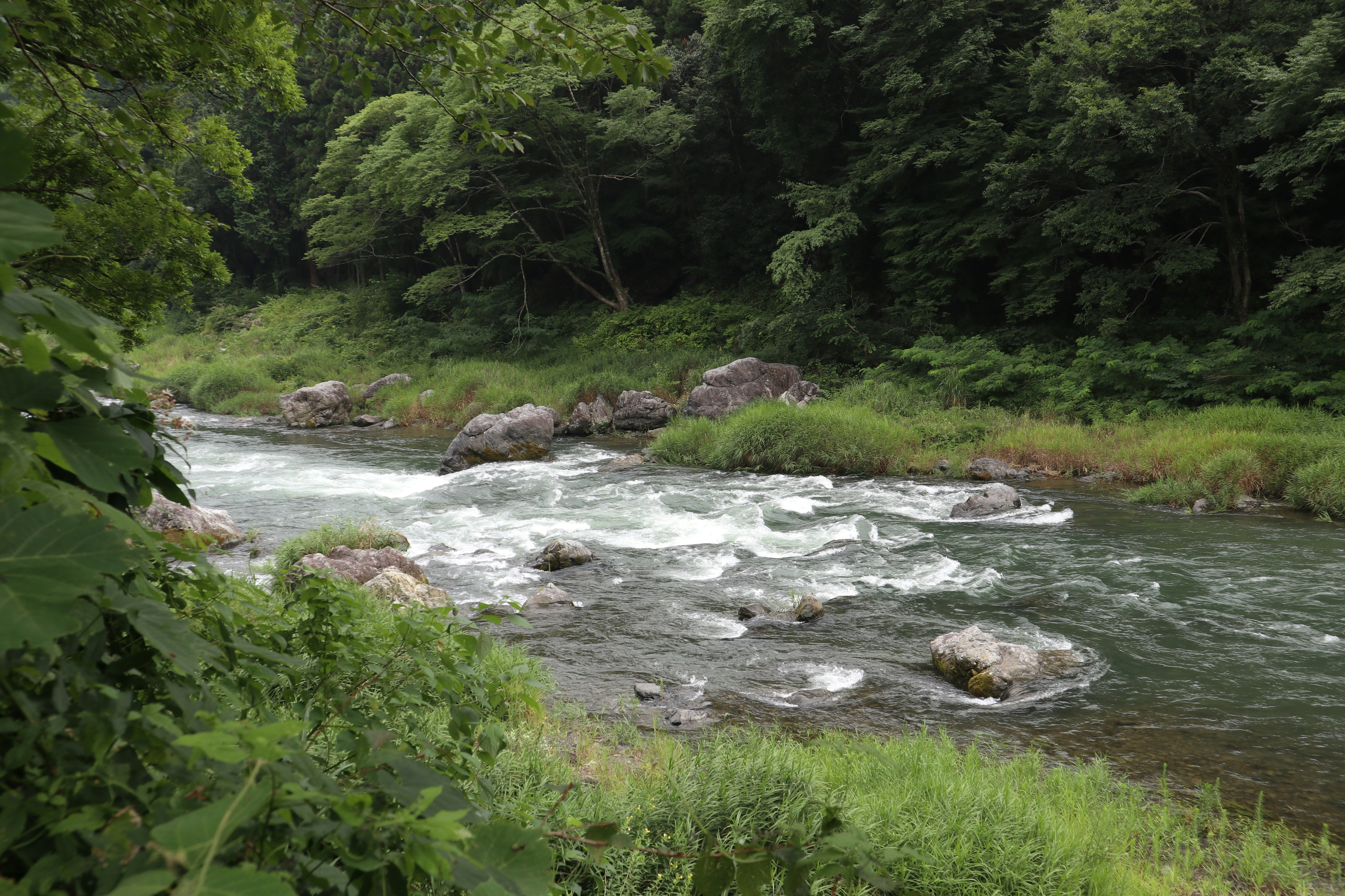 川沿いの岩と緑に囲まれた流れのある渓流の風景
