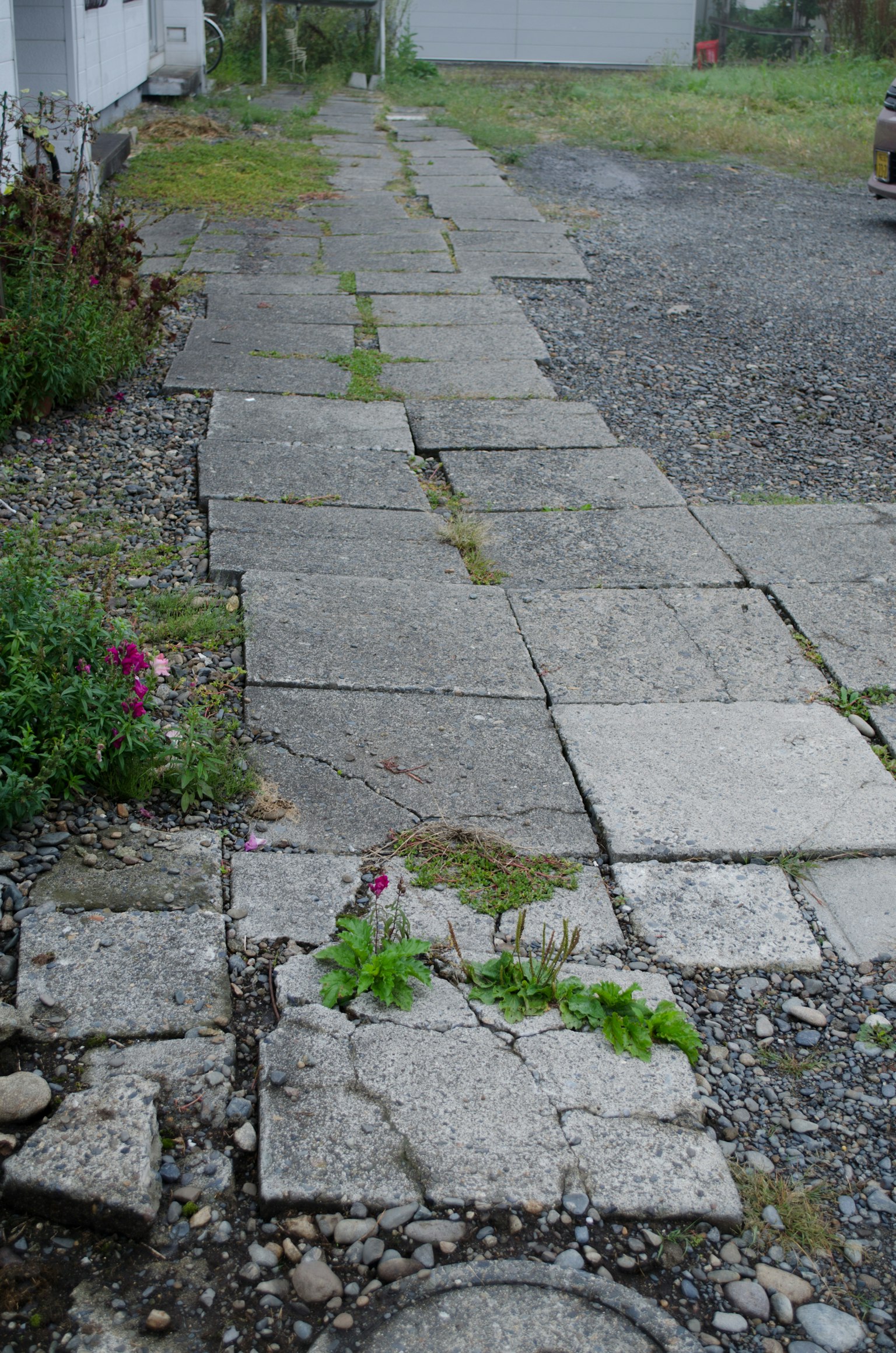 Unebene Steinweg mit Gras zwischen den Steinen und umgebenden Blumen