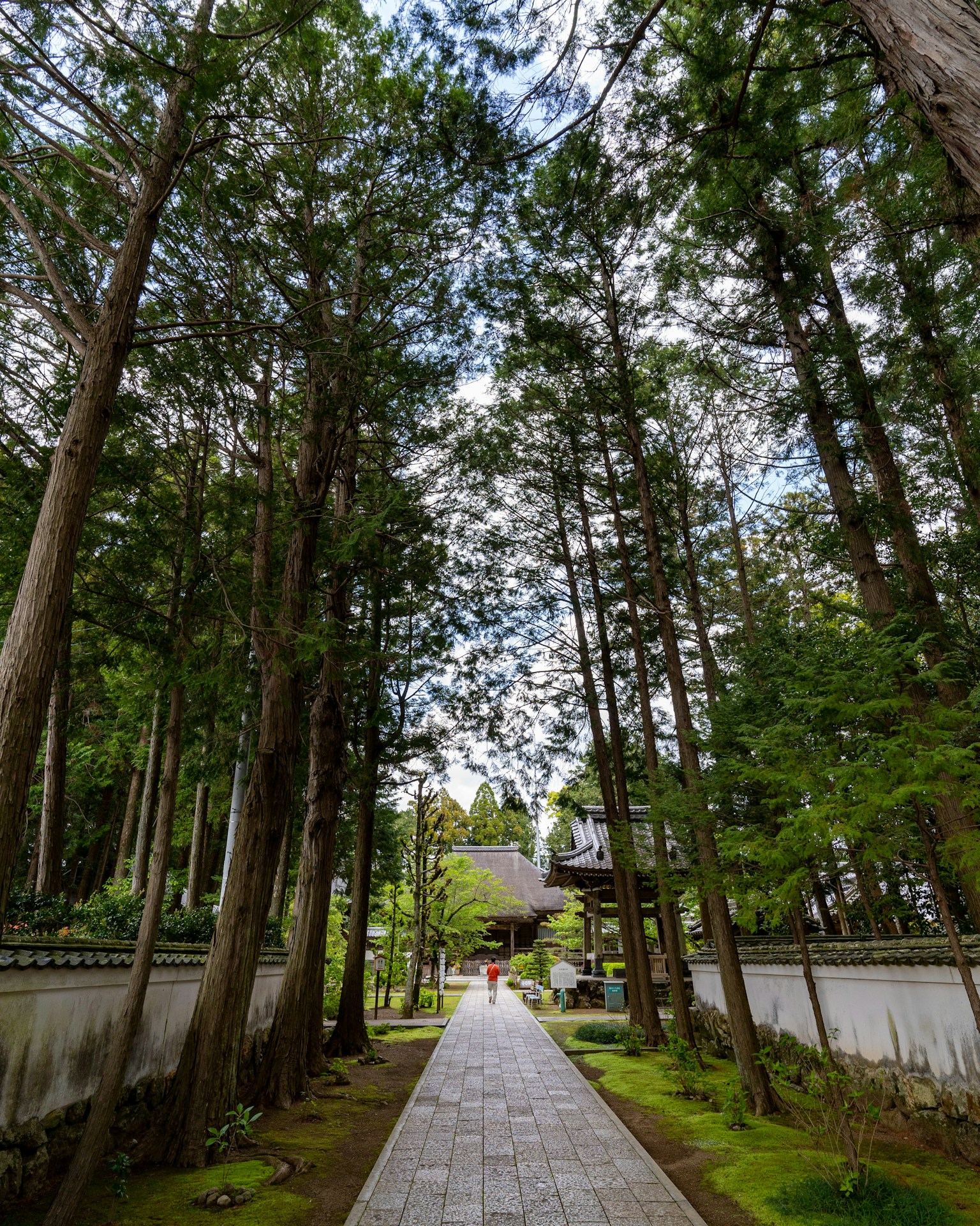 Sentiero in pietra fiancheggiato da alberi che conduce a un edificio