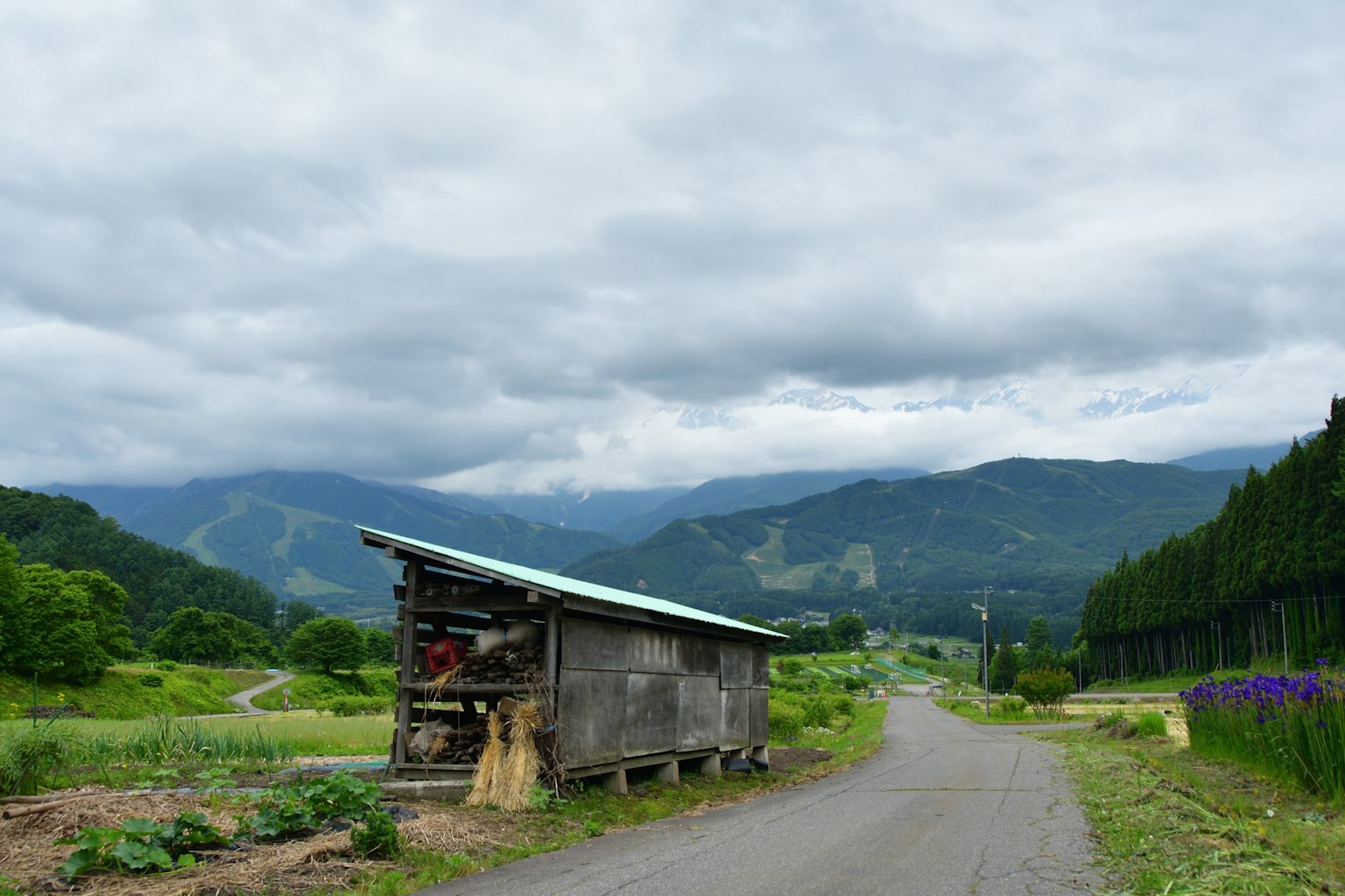 鄉村風景，有小屋和道路，背景是山脈