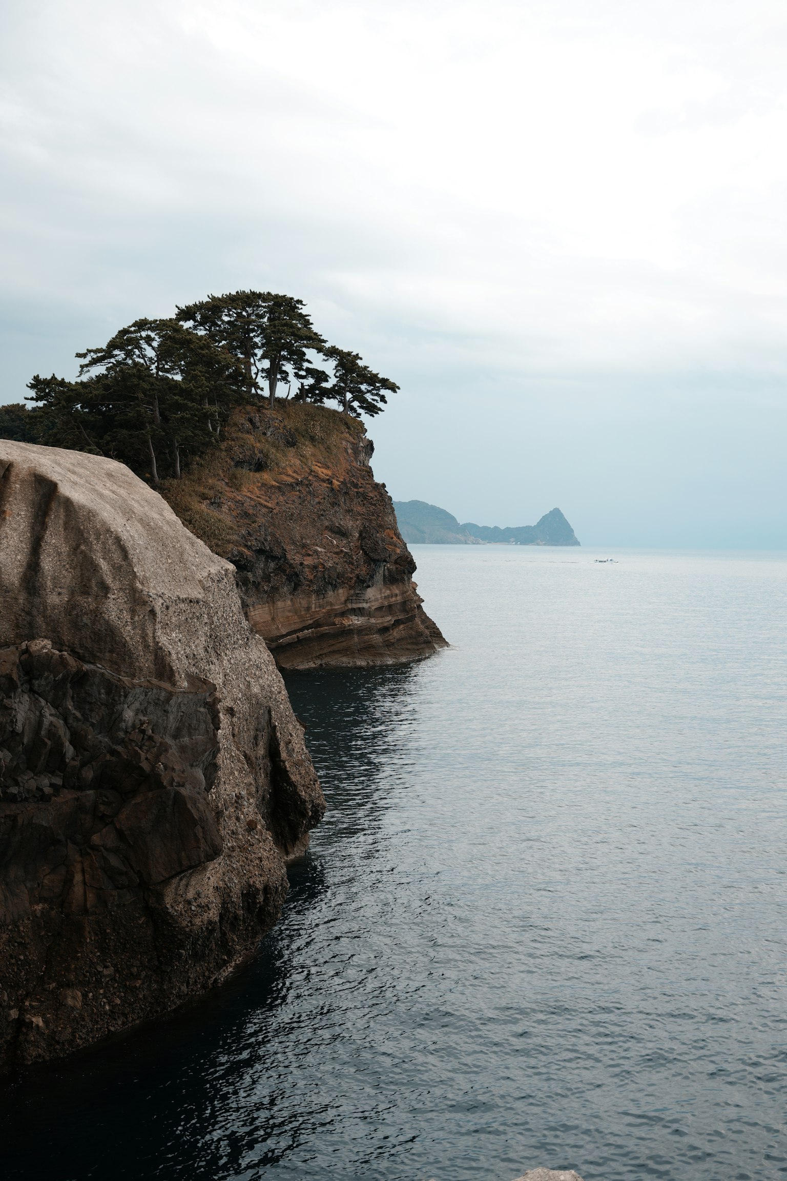 Coastal cliff with trees overlooking calm waters