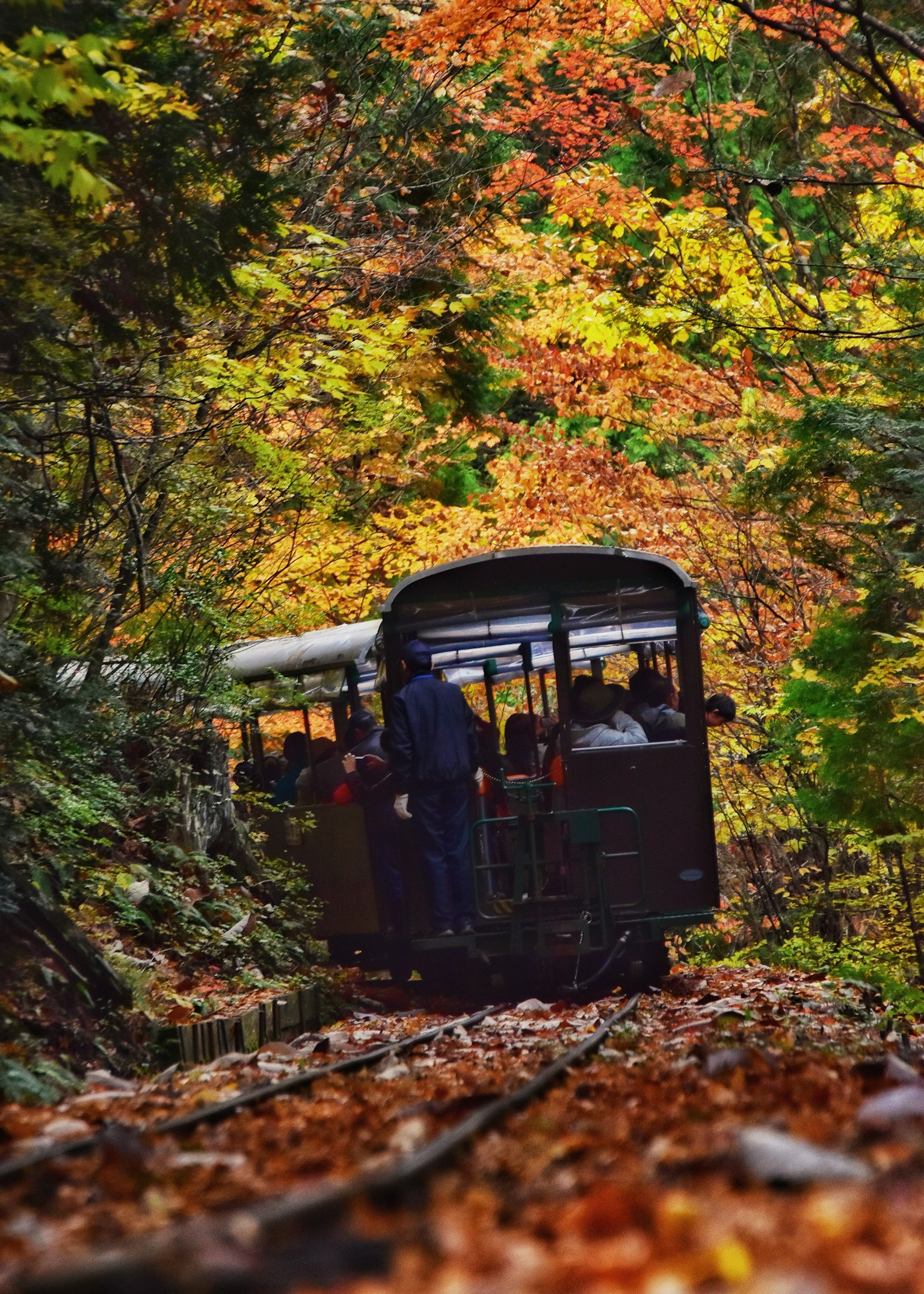 photo-9TmneHE6lujiYEa04rlv-image