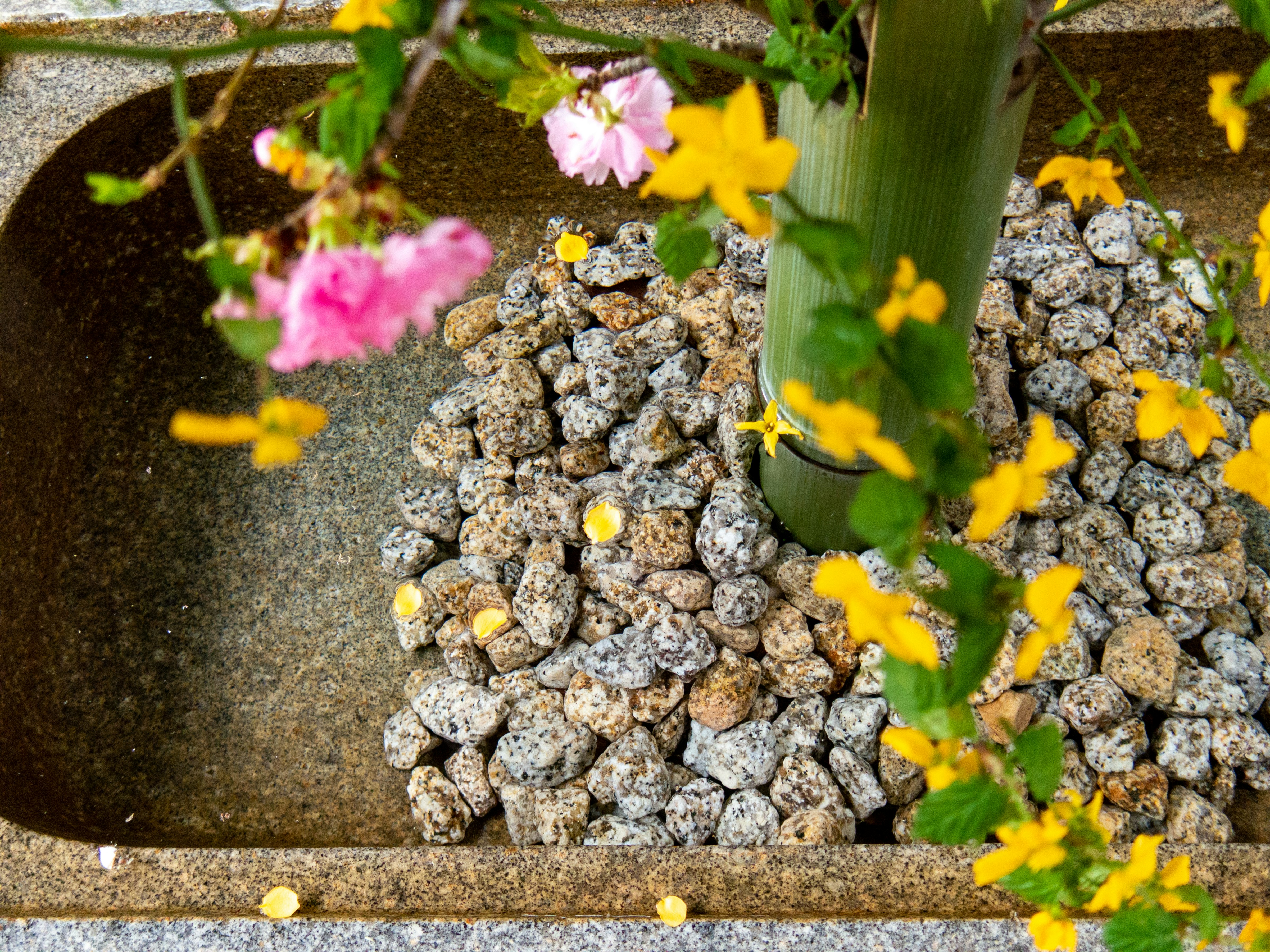 花びらと小石のある鉢の縁