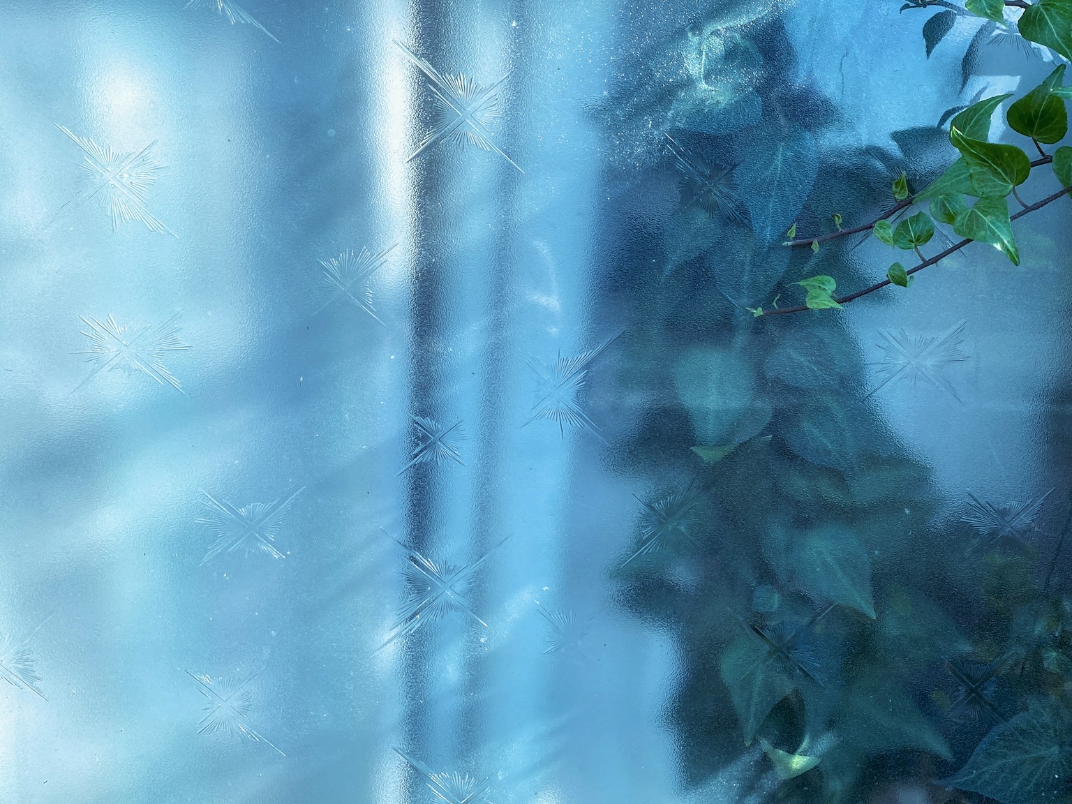 Blue background with shadows of plant leaves