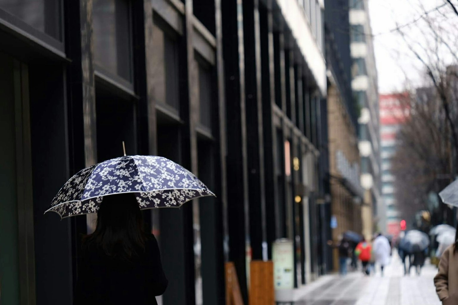 在雨中撑伞的人影映衬着城市背景