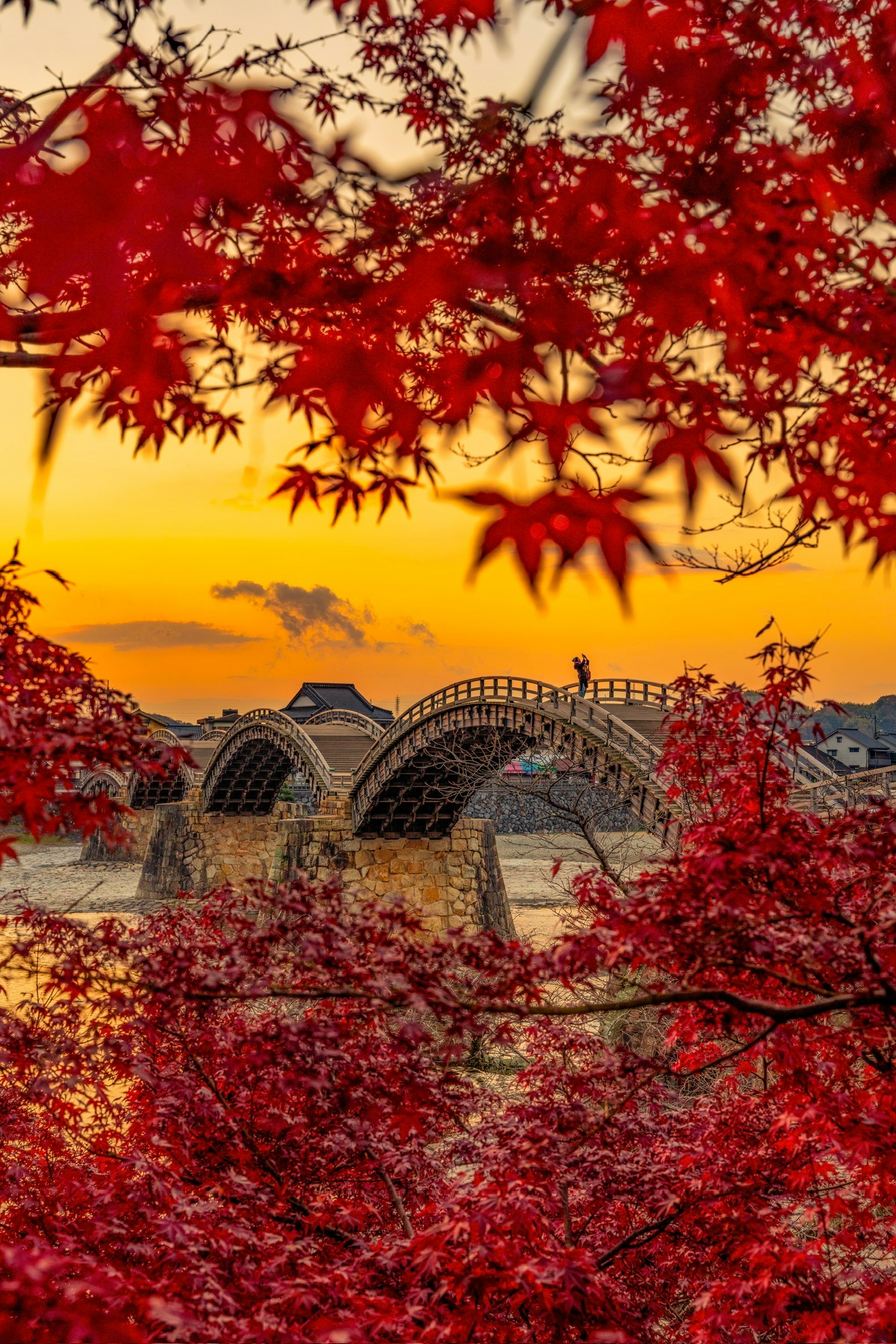 Beautiful bridge surrounded by red maple leaves and sunset