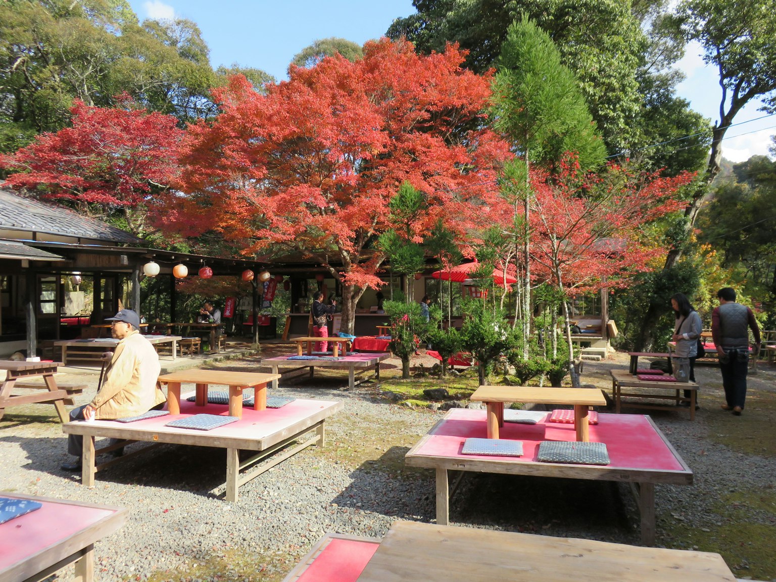 Espace de restauration en plein air entouré de feuillage d'automne vibrant