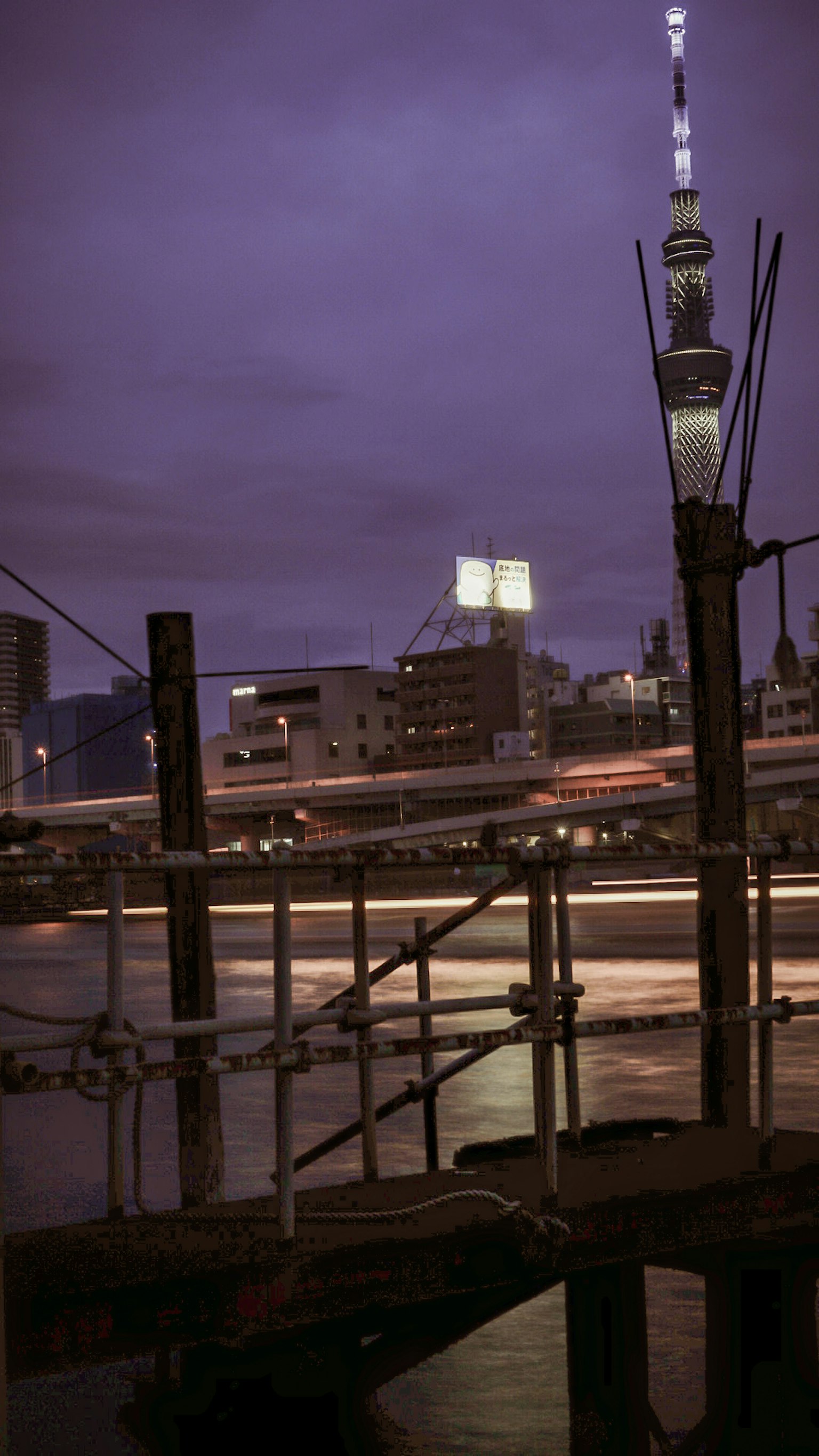 Tokyo Skytree illuminated at night with a waterfront view
