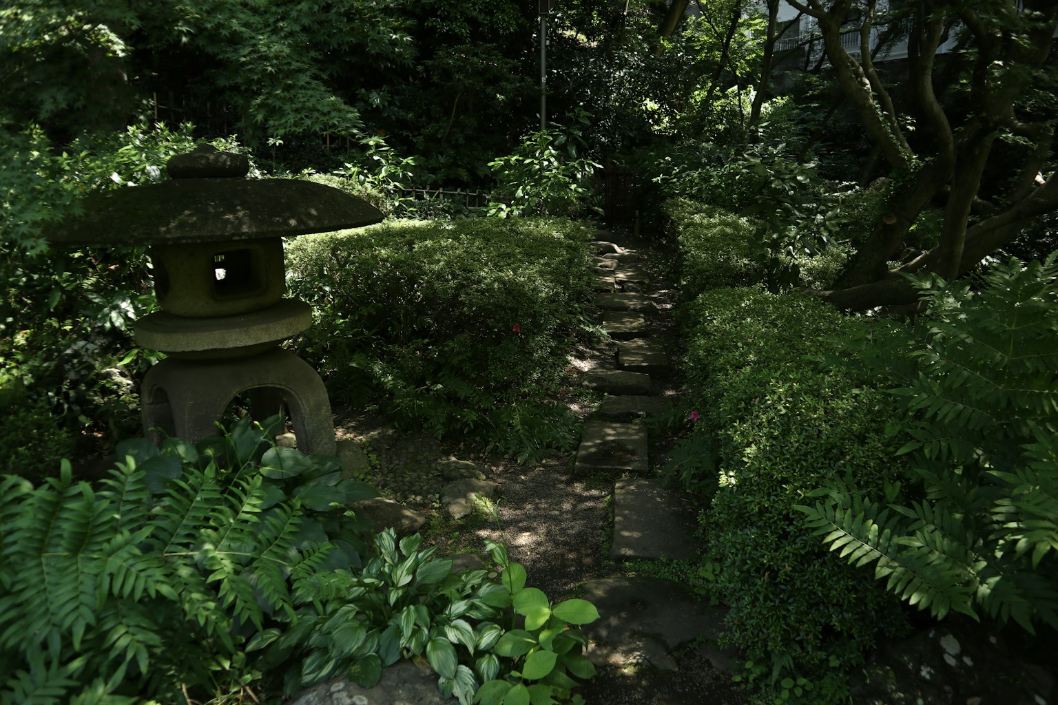 Serene Japanese garden path with stone lantern surrounded by lush greenery
