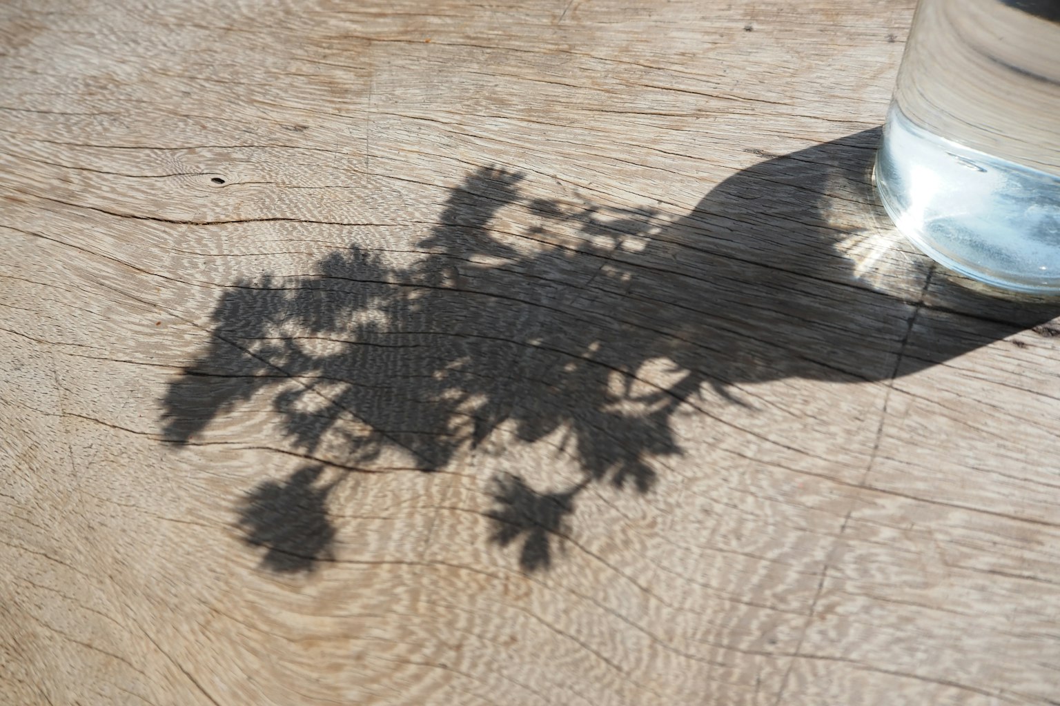 Ombra di un contenitore trasparente riempito d'acqua su un tavolo di legno