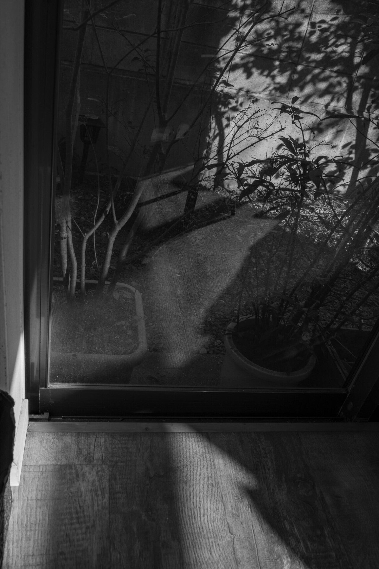 Contraste en blanco y negro que muestra una vista sombría de un jardín desde el interior