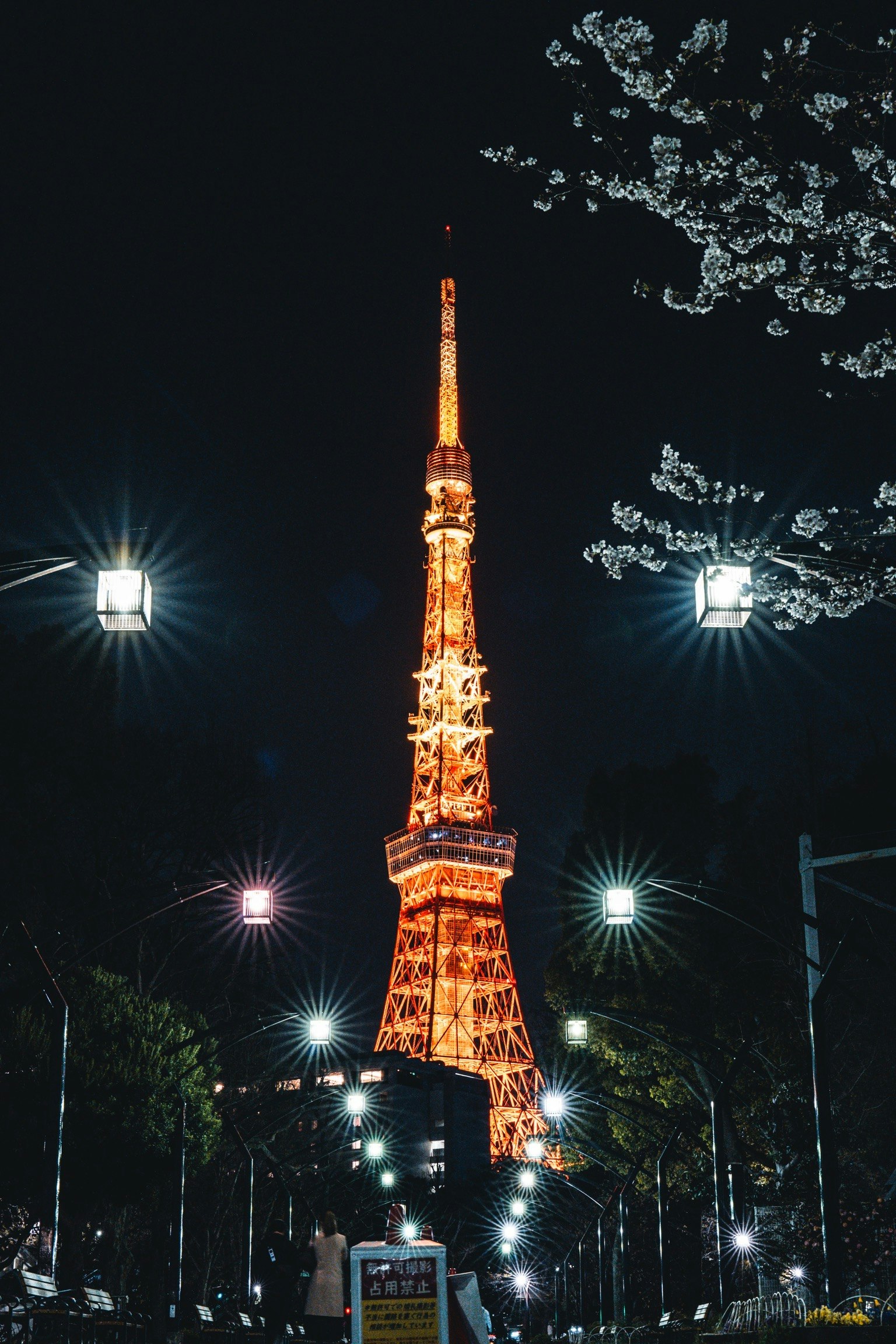 Torre di Tokyo illuminata di notte circondata da lampioni e ciliegi