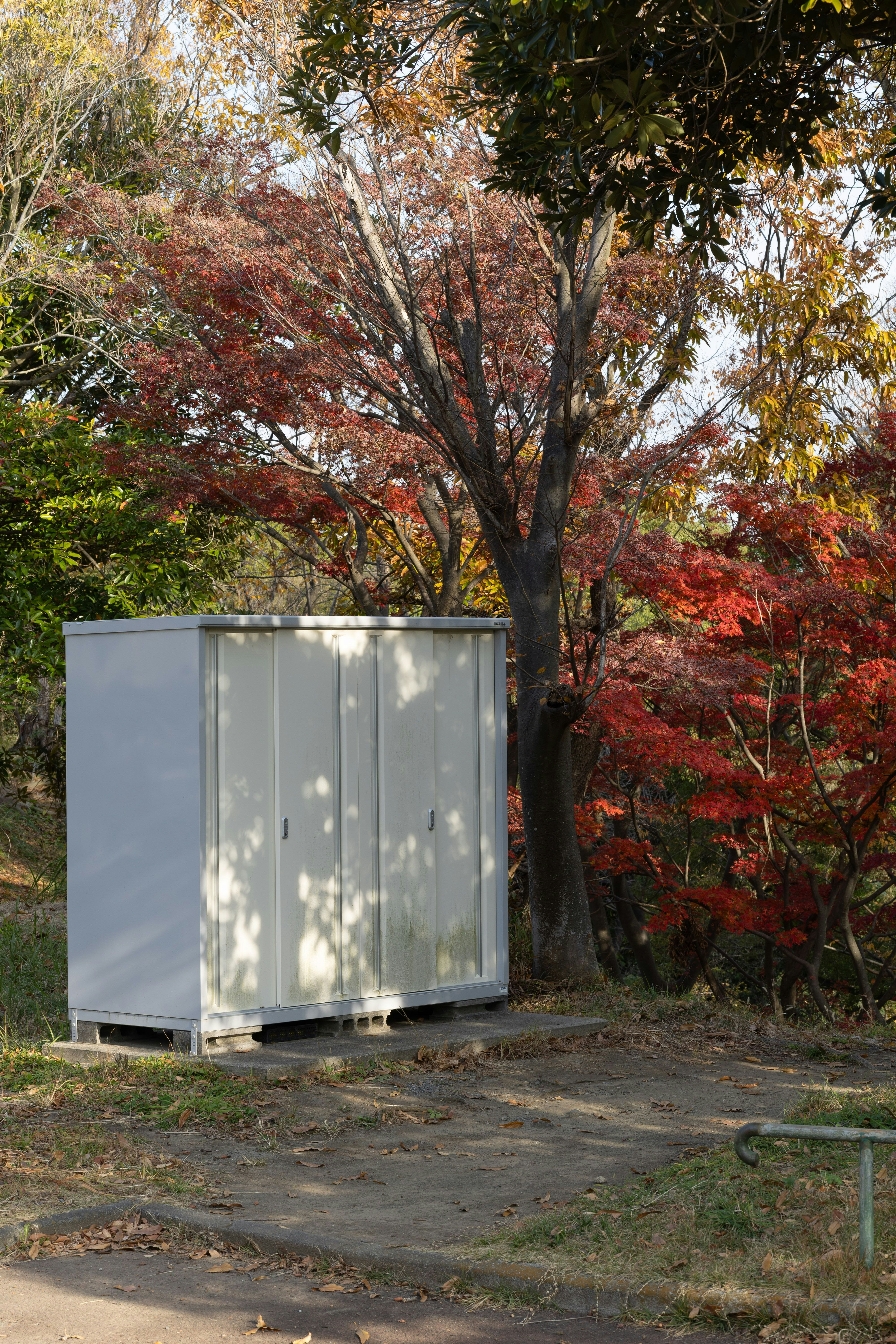 紅葉の並ぶ屋外で置かれた金属製のコンテナ