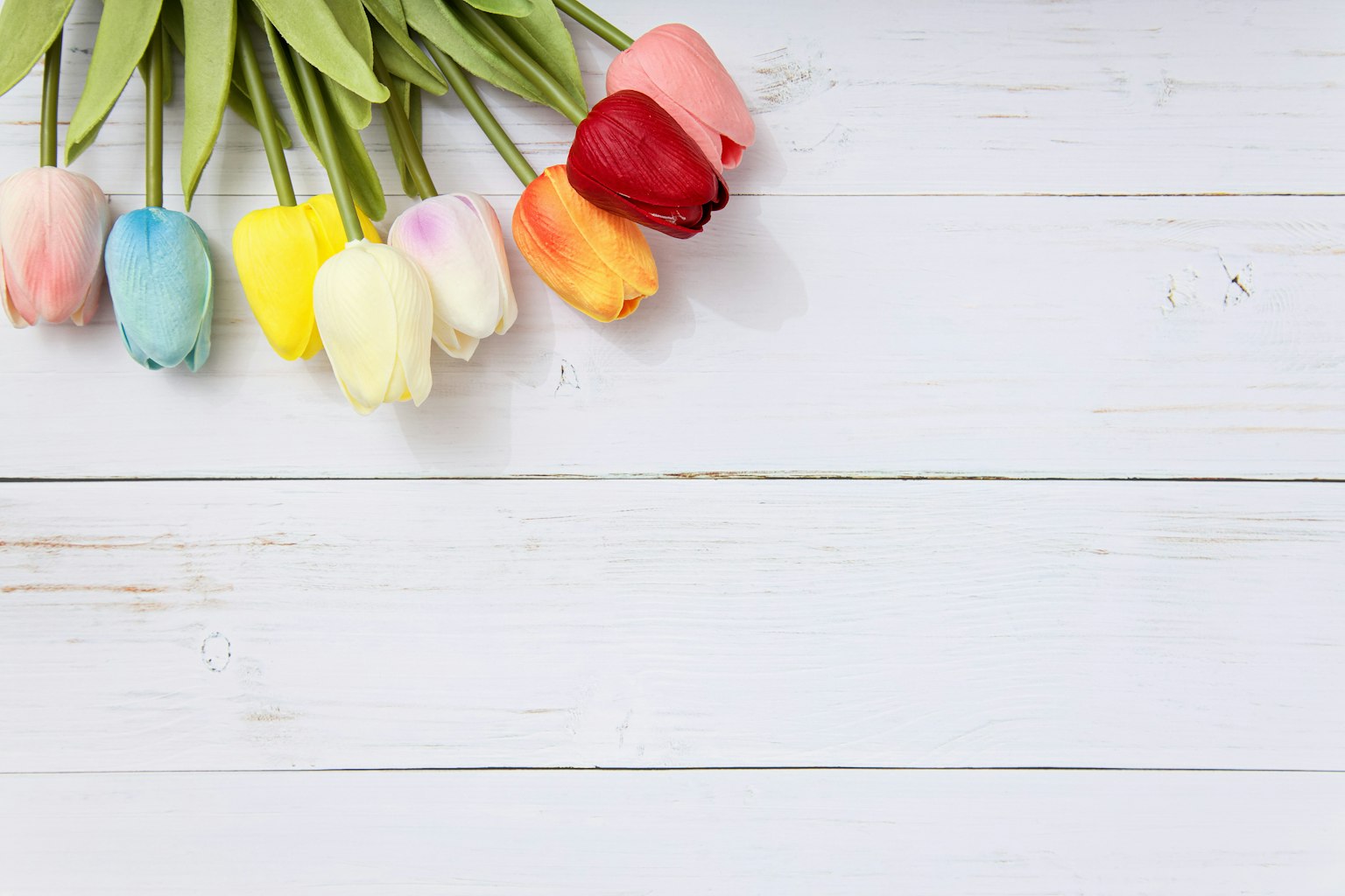 Des tulipes colorées disposées sur une table en bois blanc