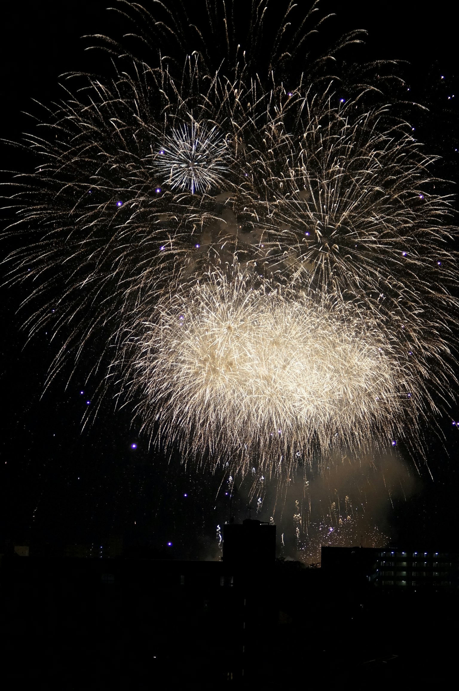 夜空中绽放的绚丽烟花