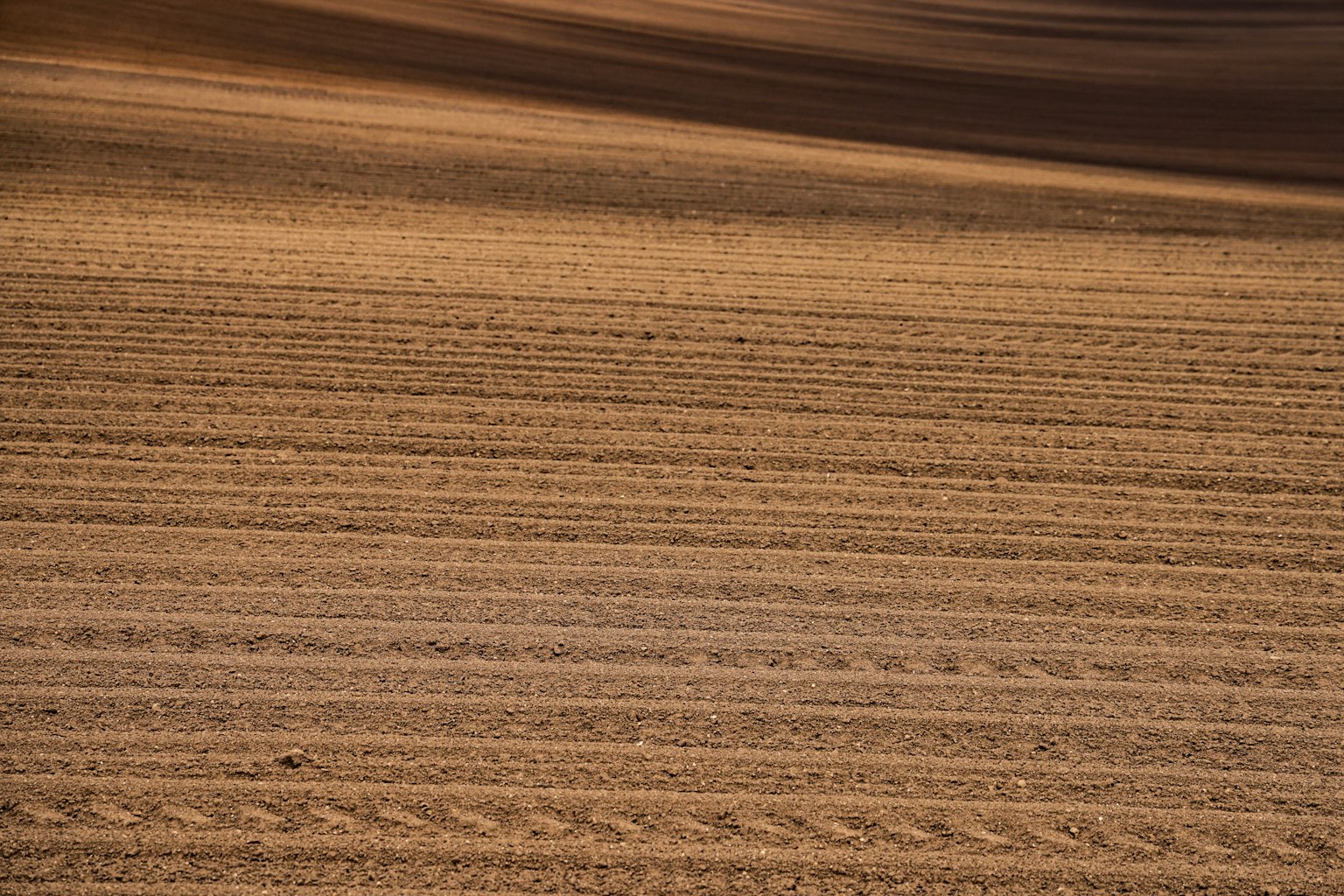 Pattern of cultivated soil with tire tracks in a dry field
