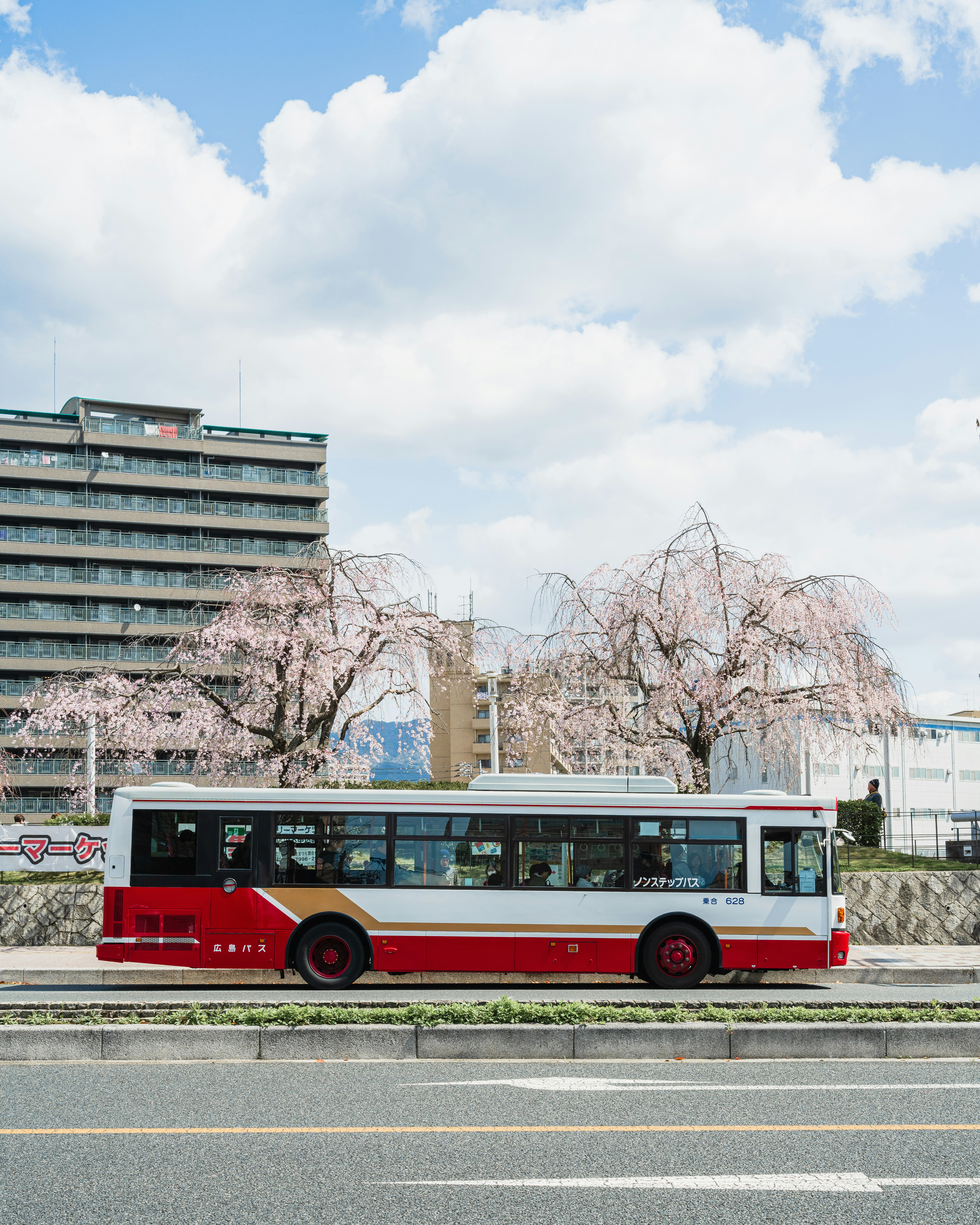 広島の桜並木とバス停前を走る路線バスのある風景