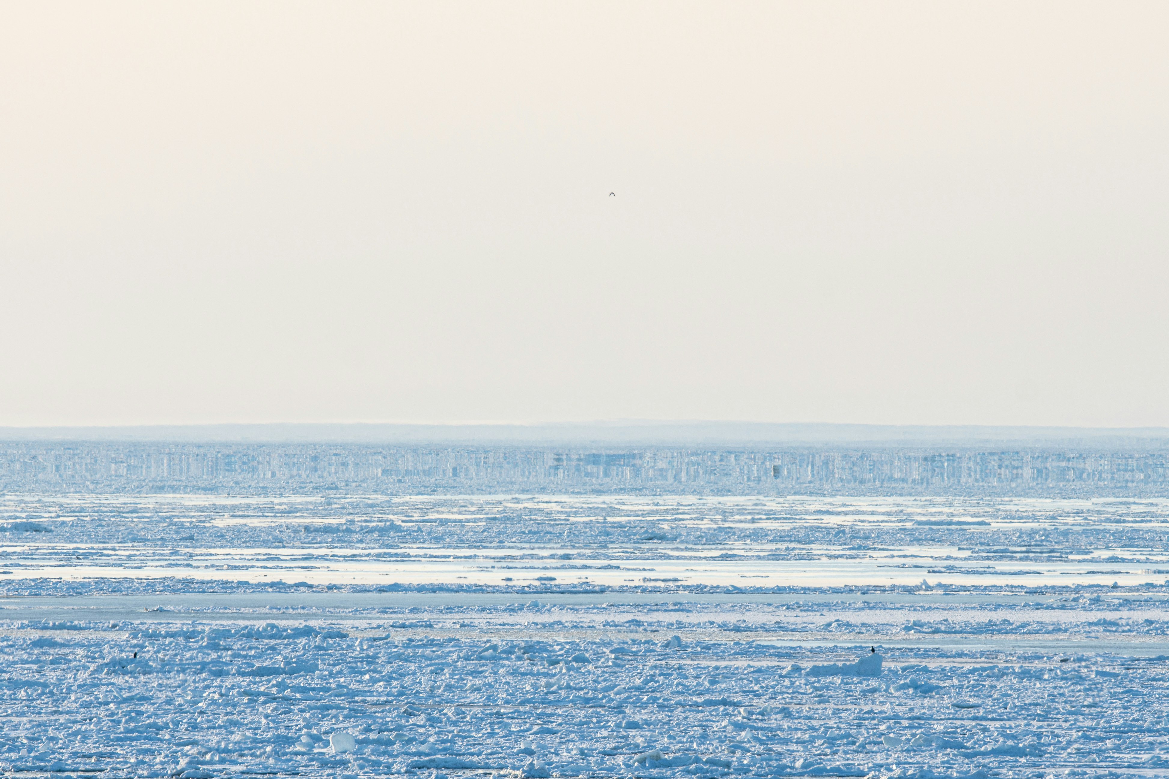 Frozen sea surface stretching to the horizon