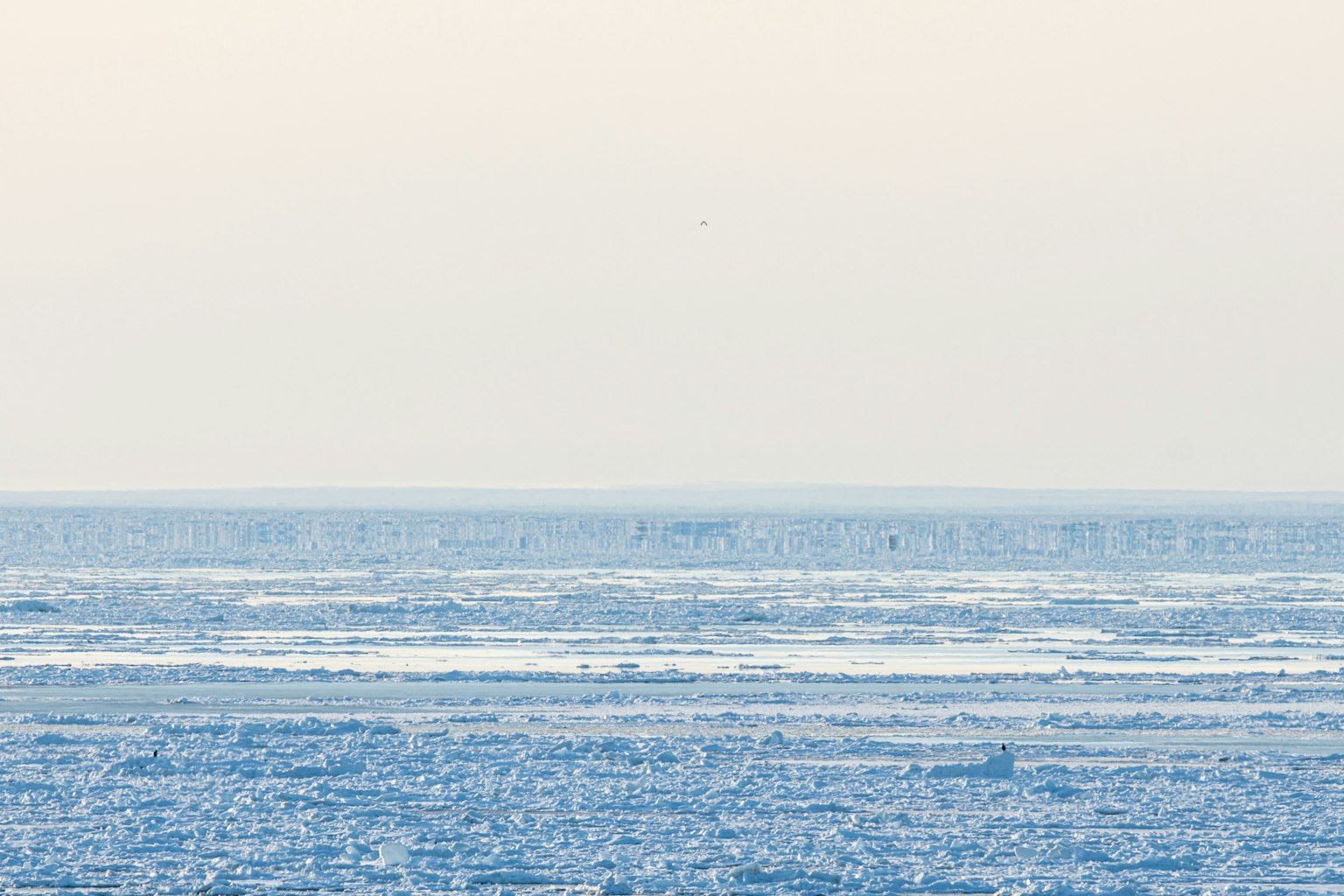 Ruhige Landschaft, die die Grenze zwischen blauem Meer und Himmel zeigt