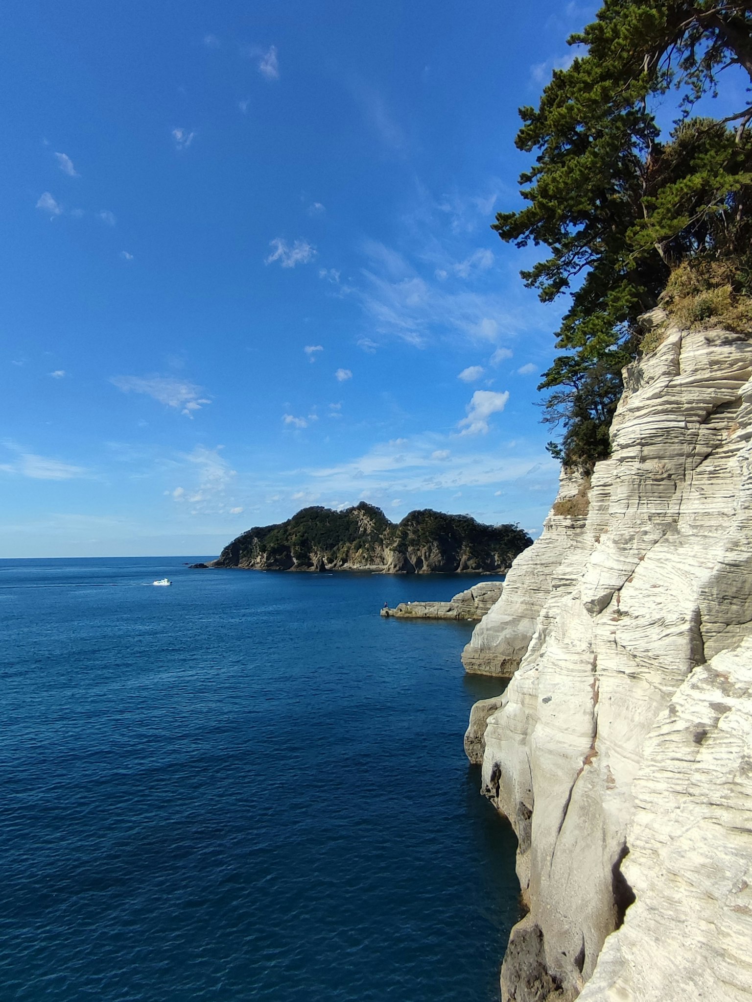 Splendido panorama costiero con oceano blu e scogliere bianche