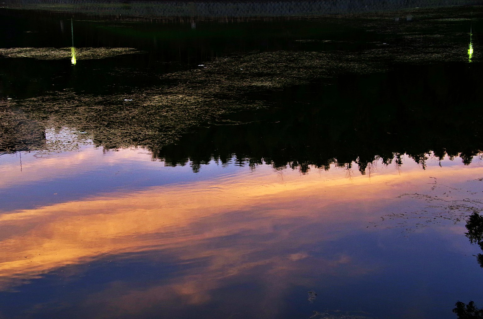 Lago tranquilo reflejando los colores del atardecer y los árboles circundantes