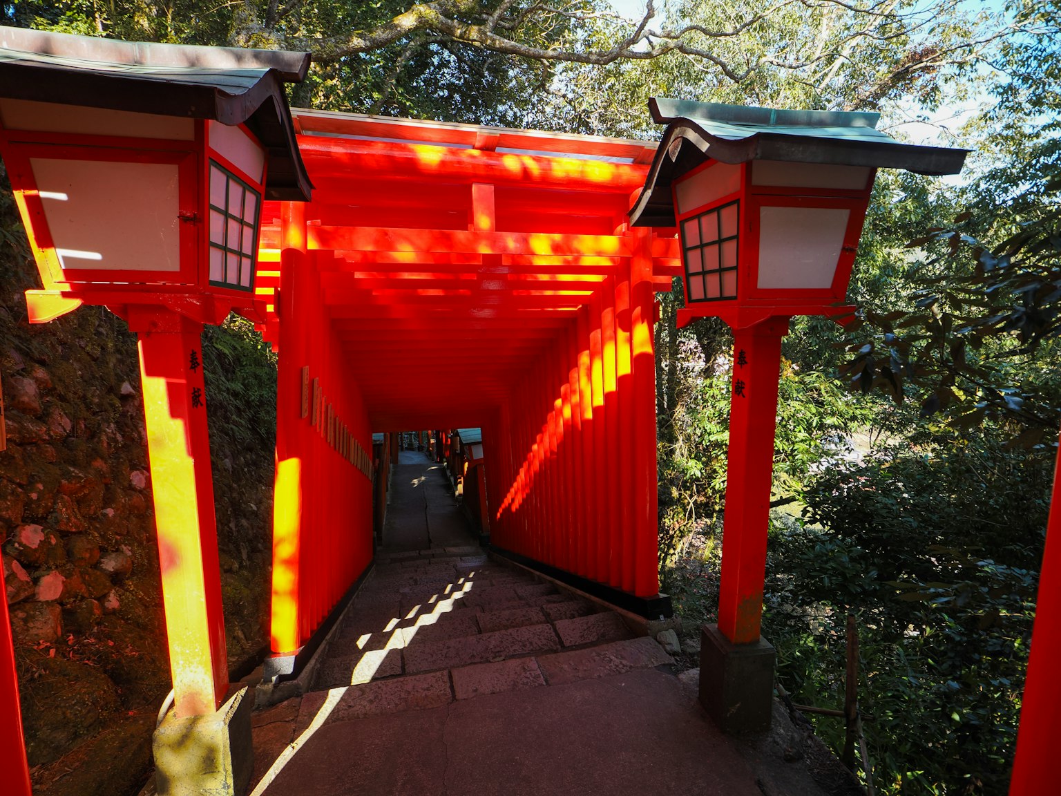 Đường đi với cổng torii đỏ bao quanh bởi cây cối