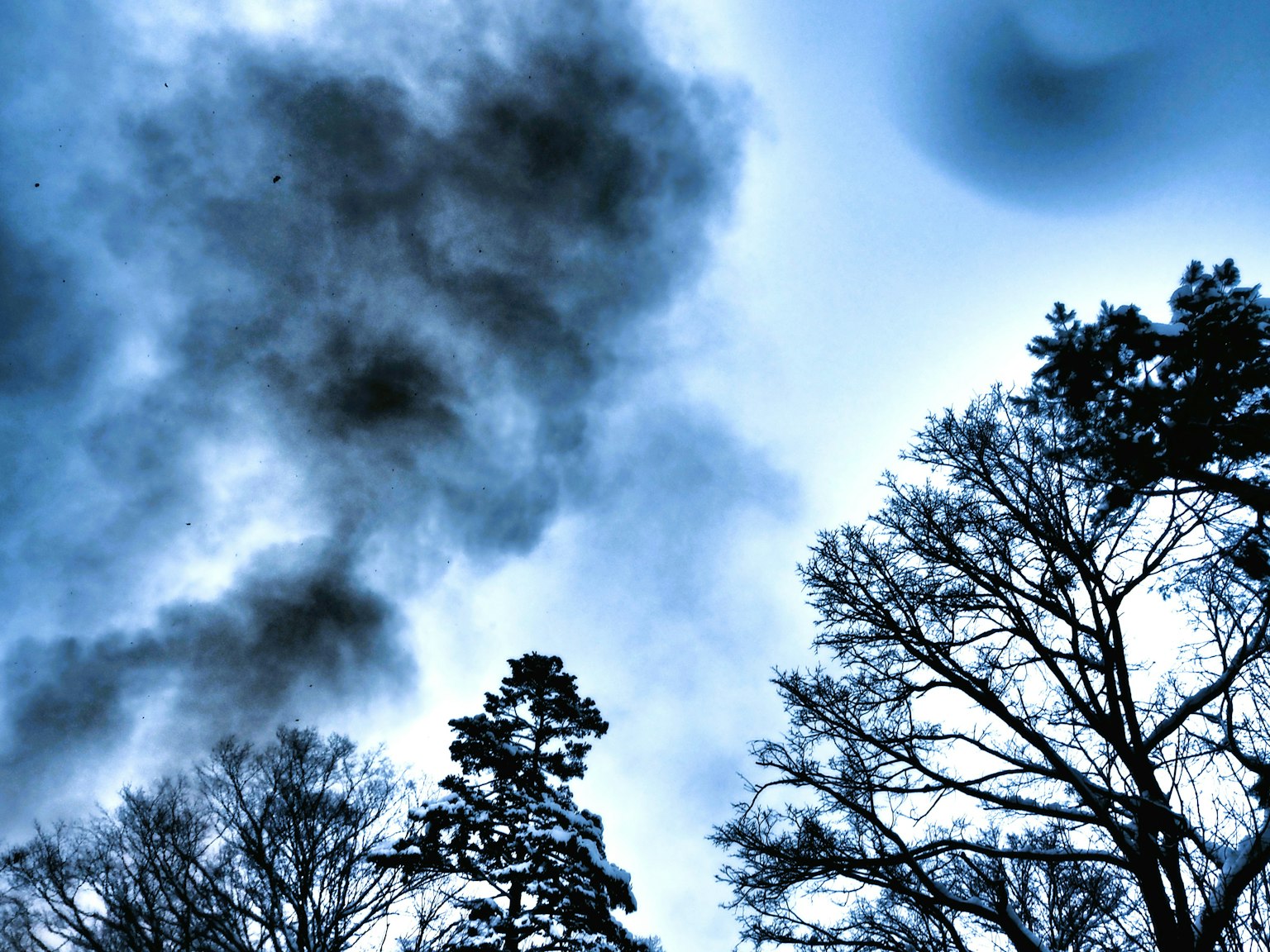 Paesaggio invernale con alberi in silhouette contro un cielo blu e fumi neri che si disperdono