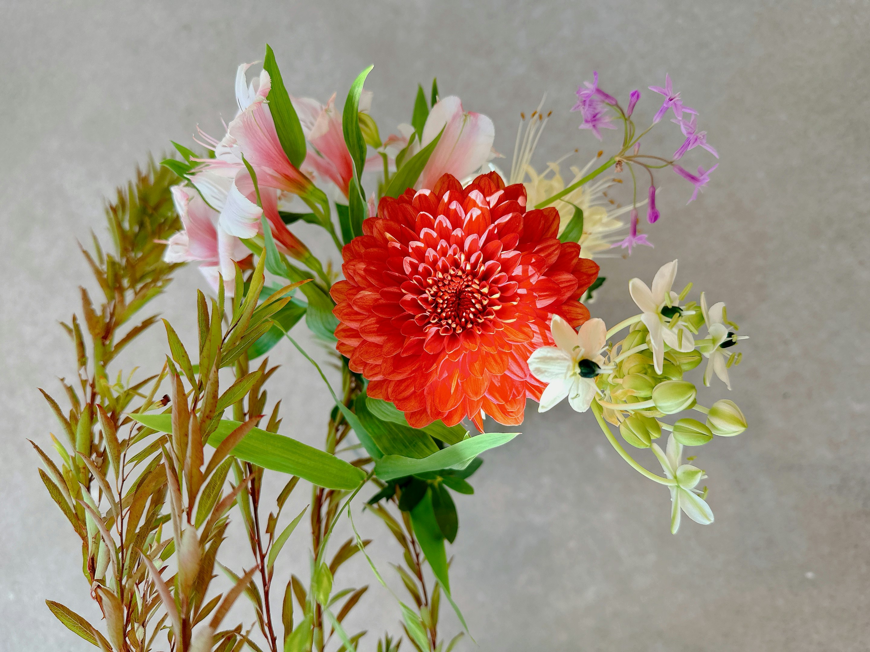花束のようにまとめられた色とりどりの切り花