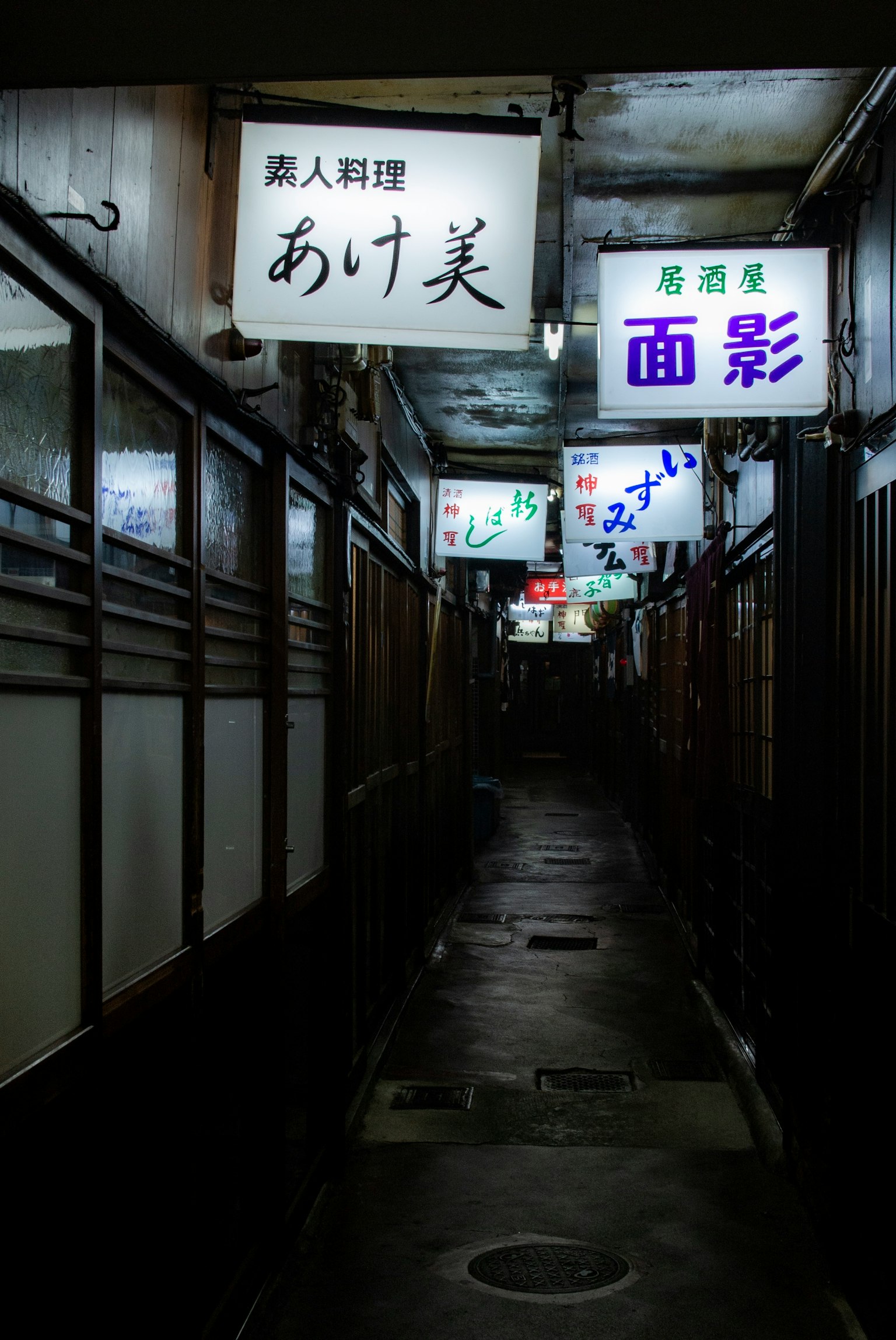 日本夜晚狭窄巷道中的餐馆招牌发光