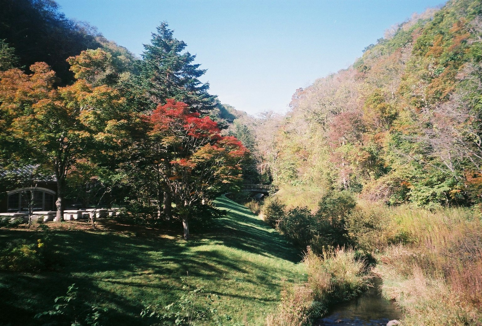 Beautiful landscape with colorful autumn trees
