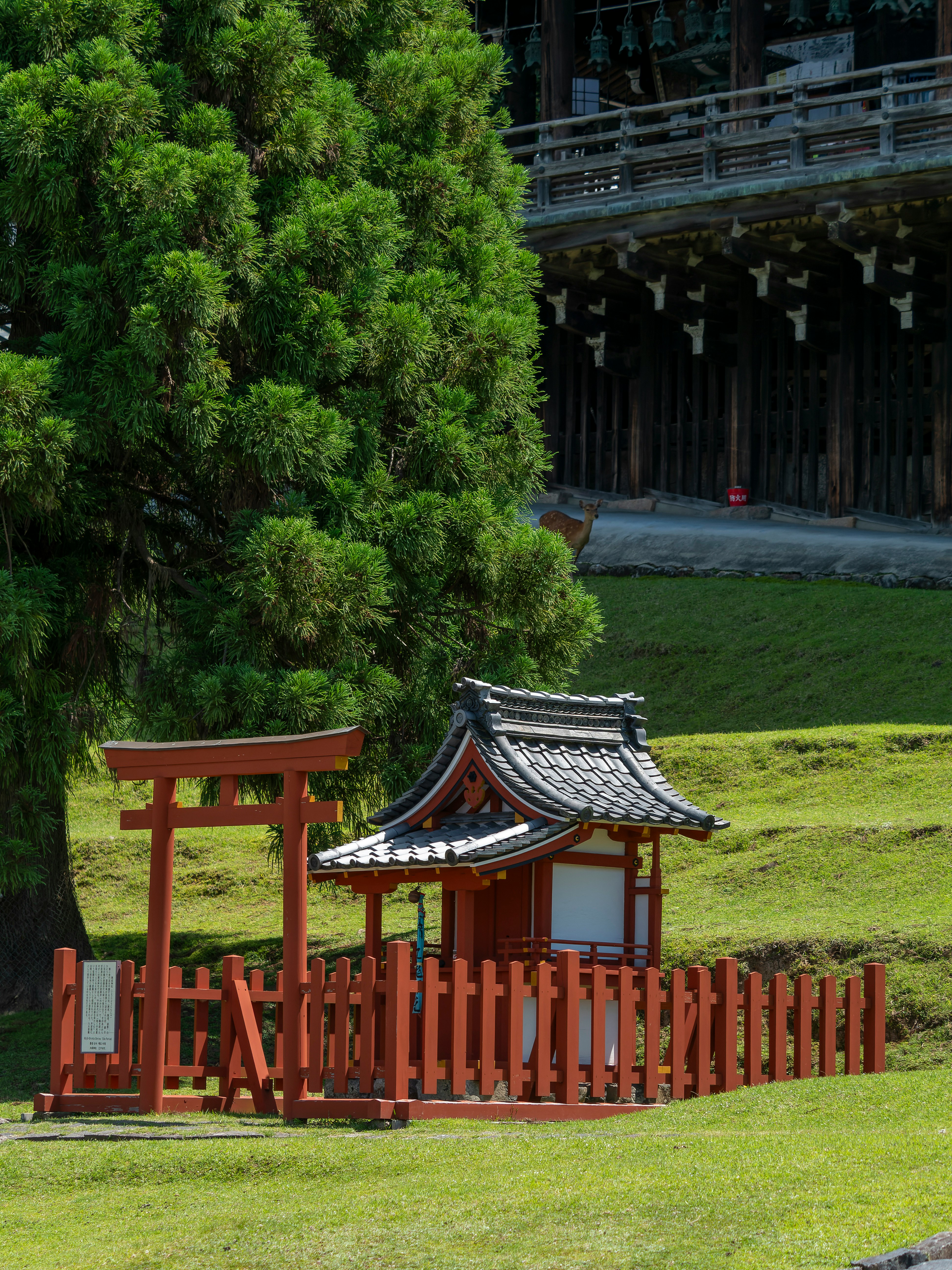 東大寺二月堂の鎮守社「興成神社」の鳥居と社殿