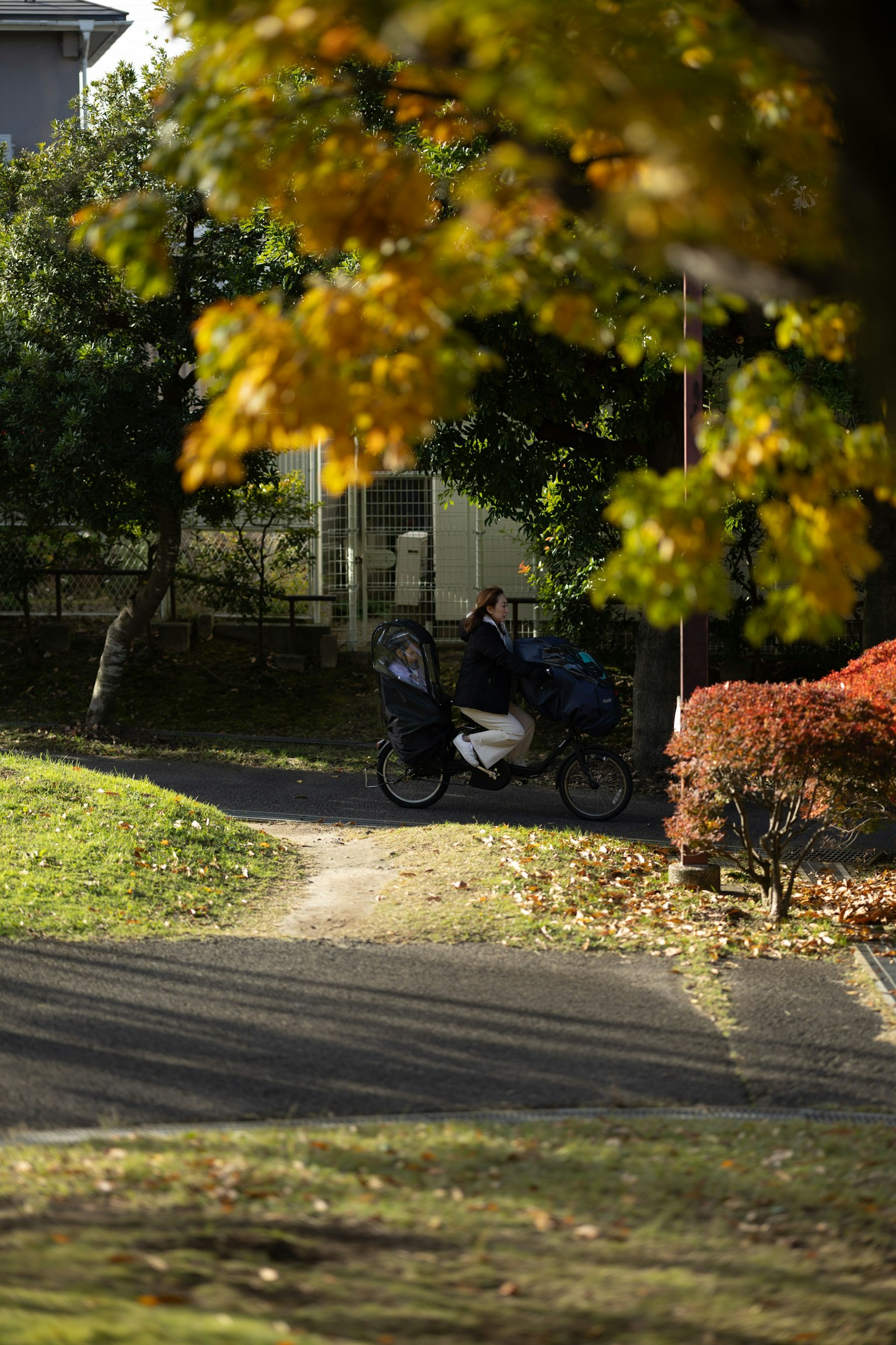 Moto parcheggiata lungo un sentiero del parco con foglie autunnali