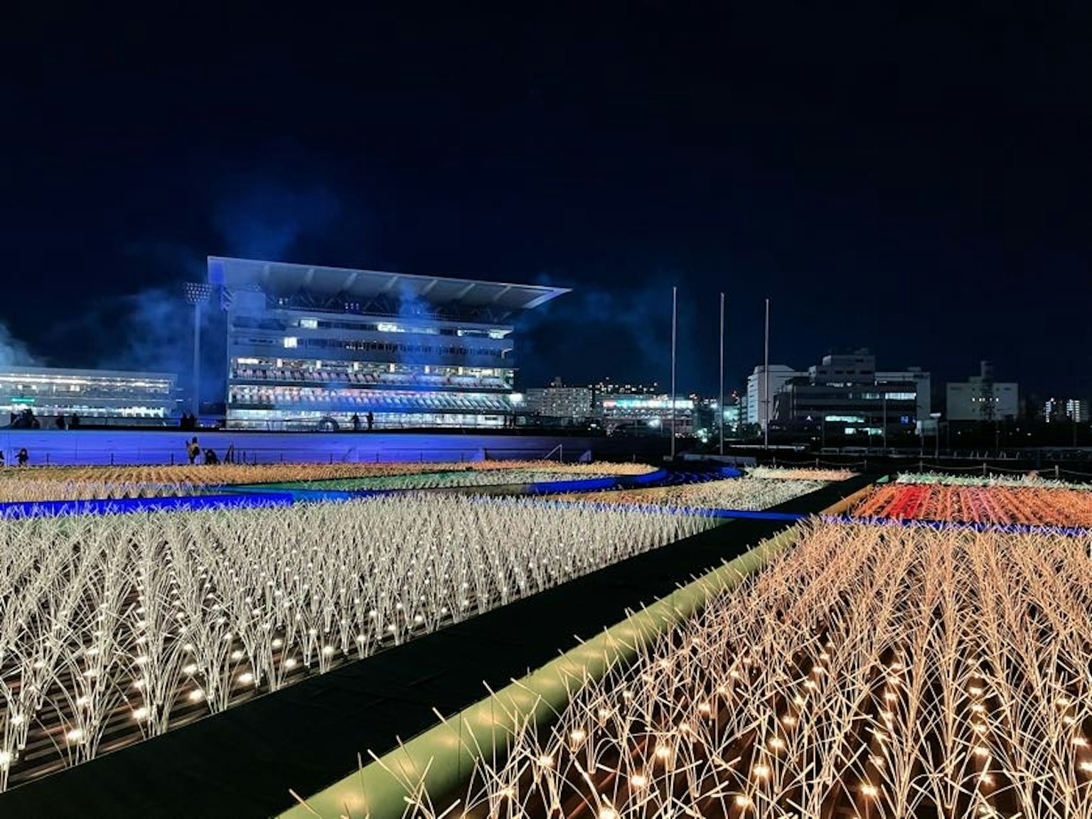 Bunt erleuchtetes Feld bei Nacht mit modernem Gebäude im Hintergrund
